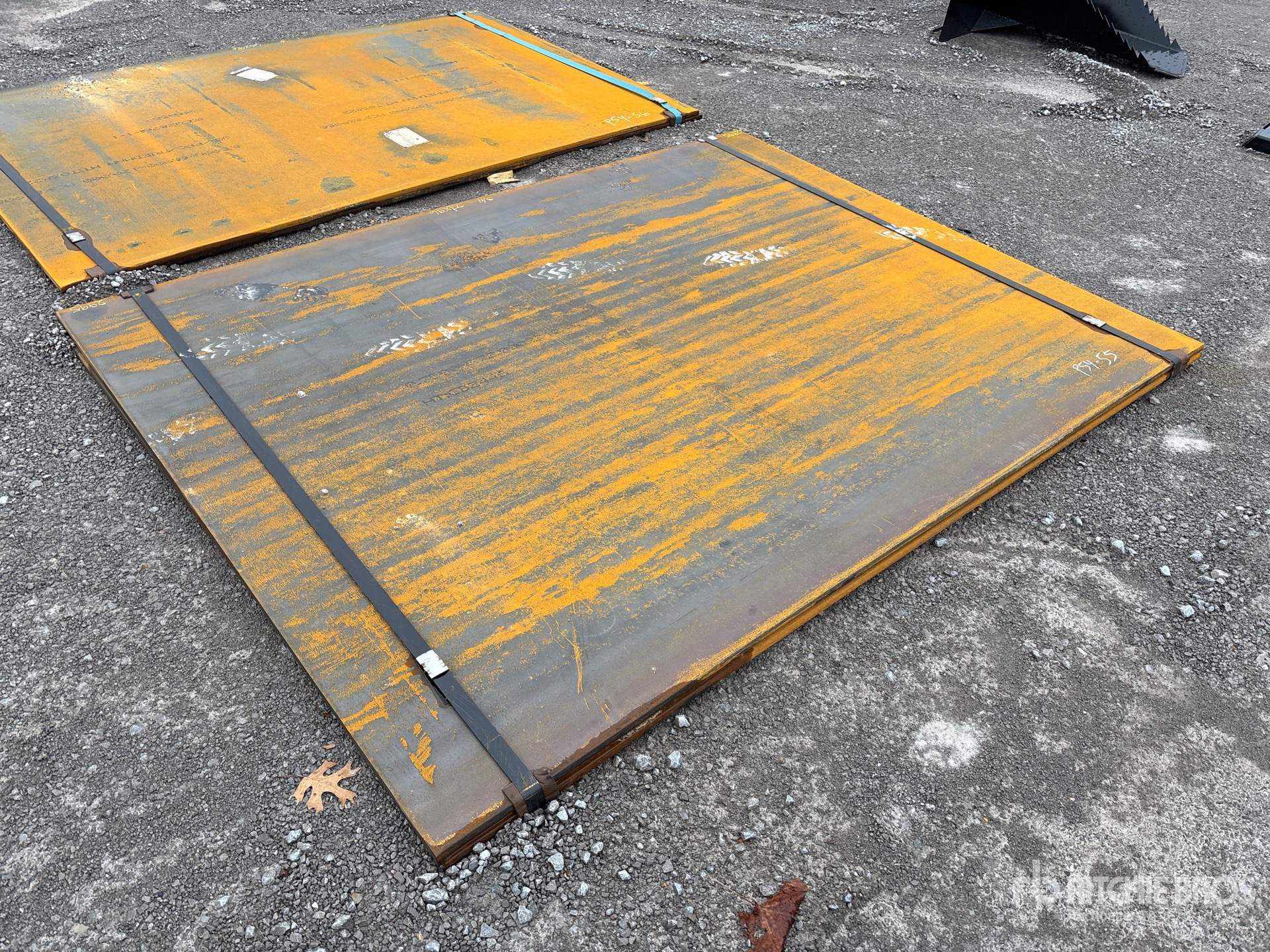 General Appearance with Zdjęcie, prawy górny róg