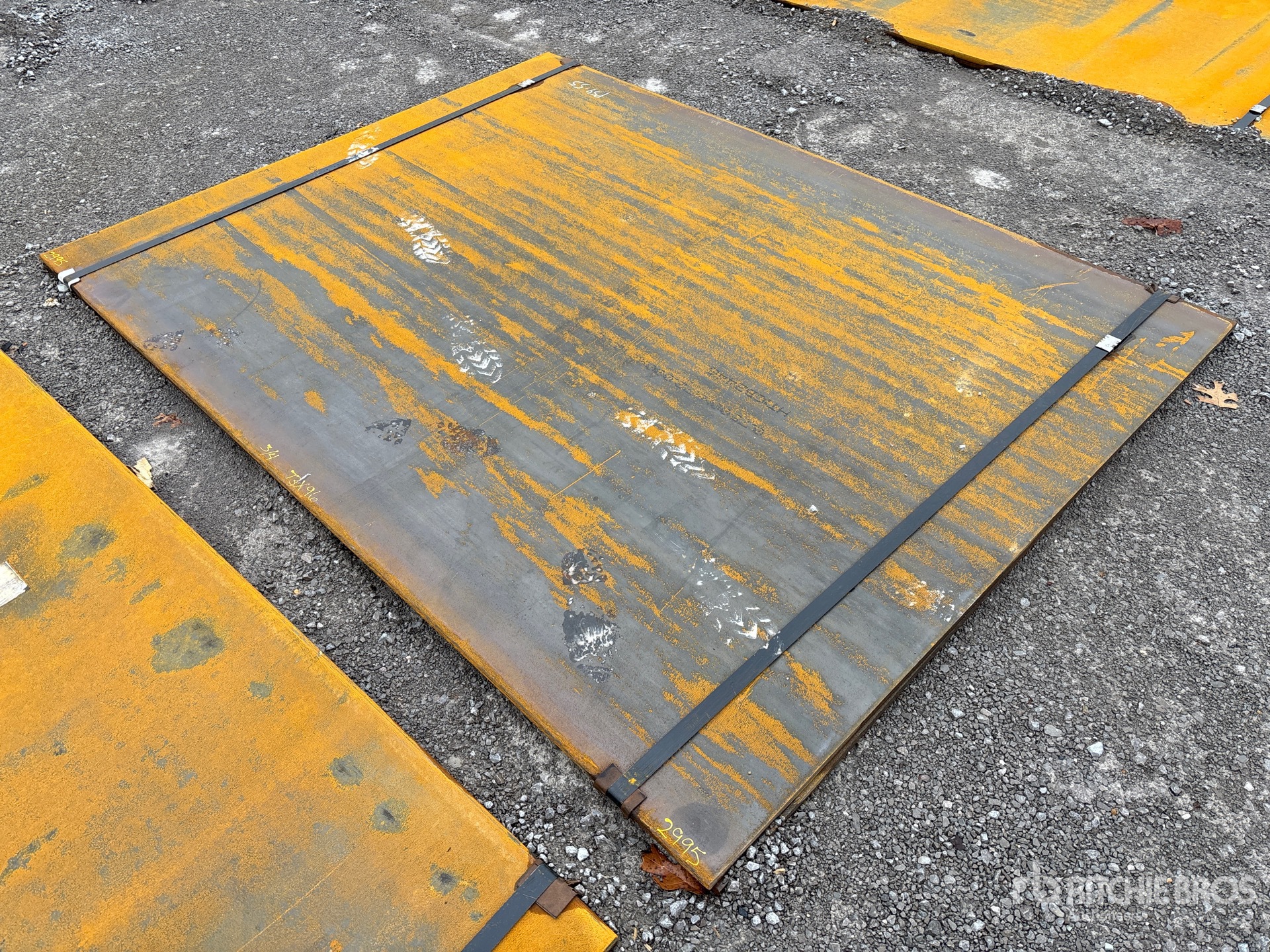 General Appearance with Zdjęcie, prawy dolny róg