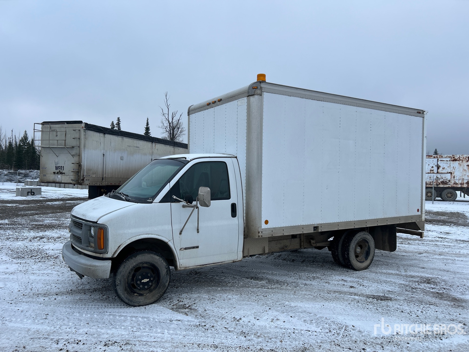 General Appearance with Spin