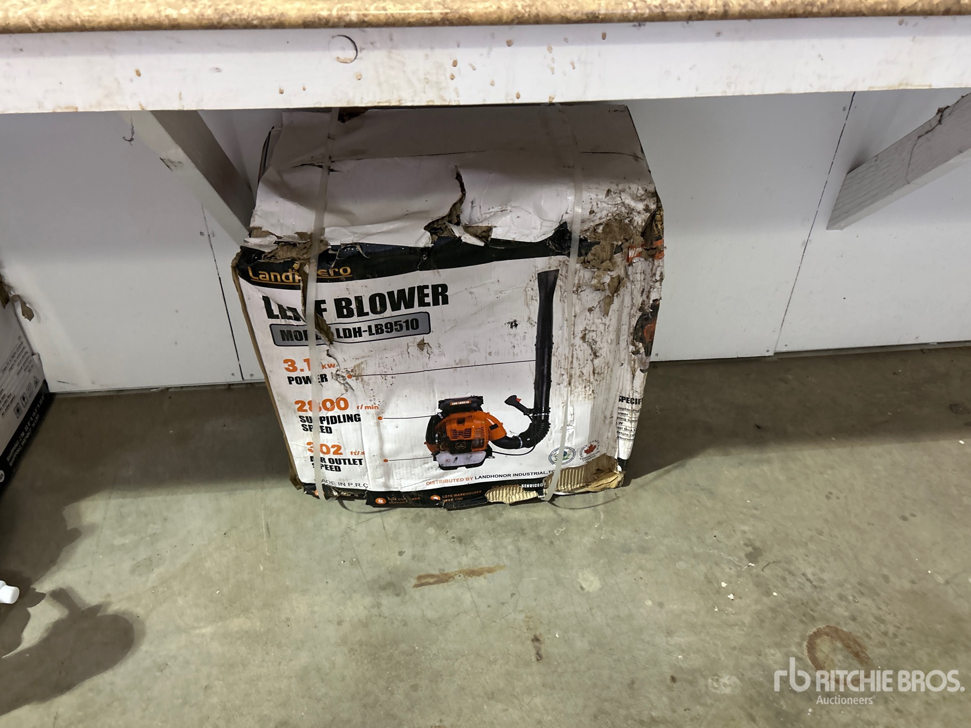 General Appearance with Featured Photo