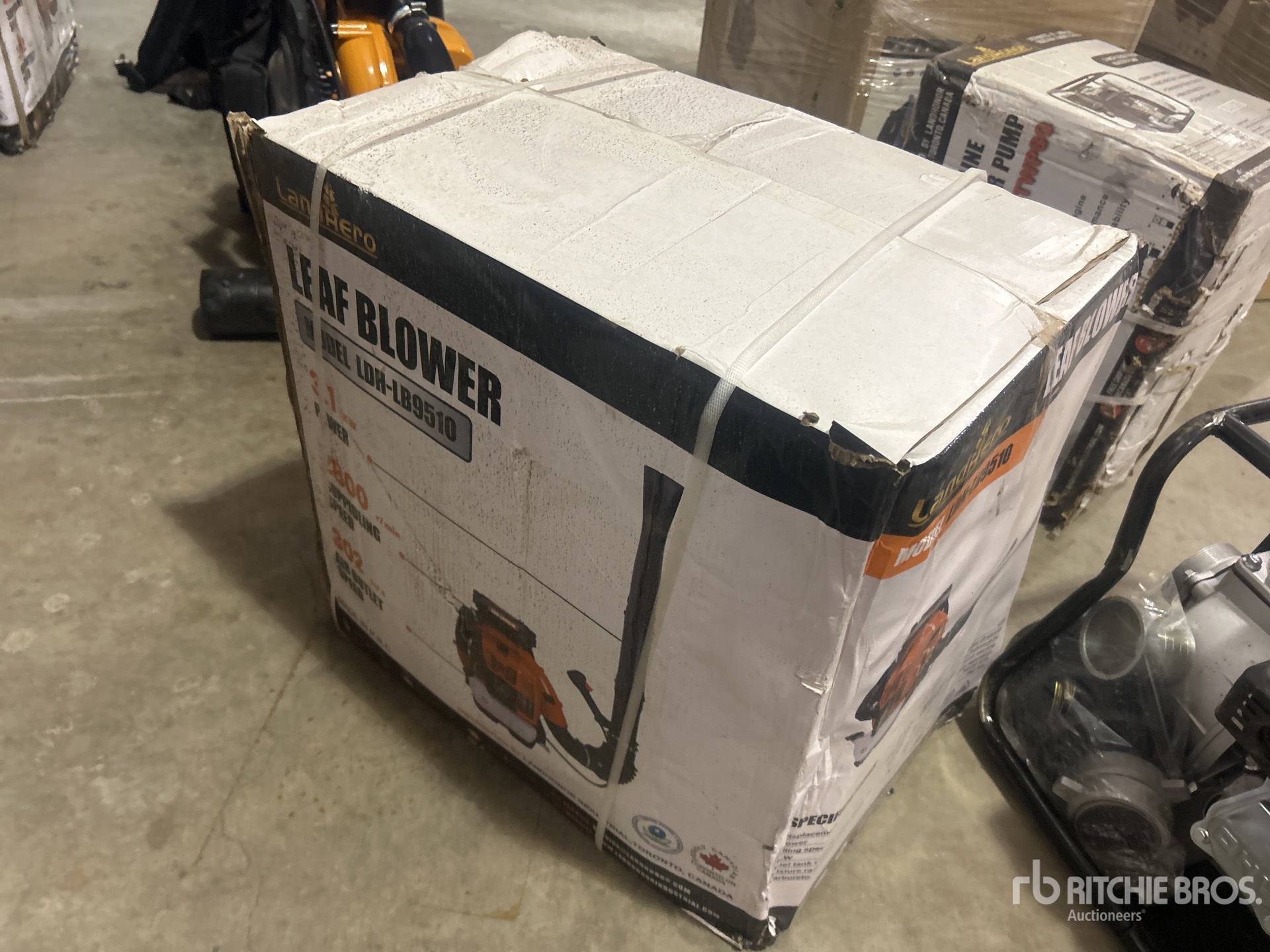 General Appearance with Picture, Left Rear Corner