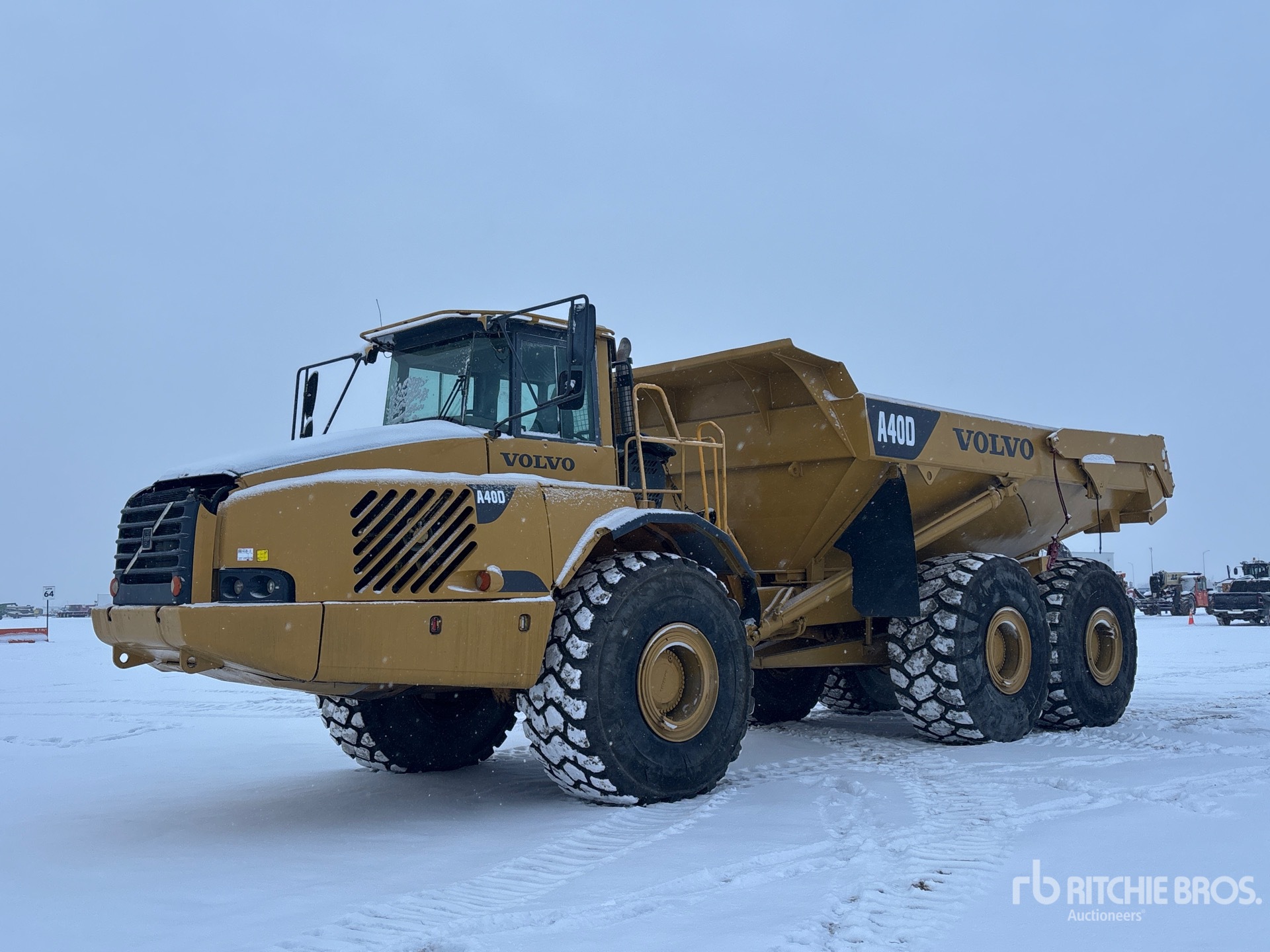 General Appearance with Spin