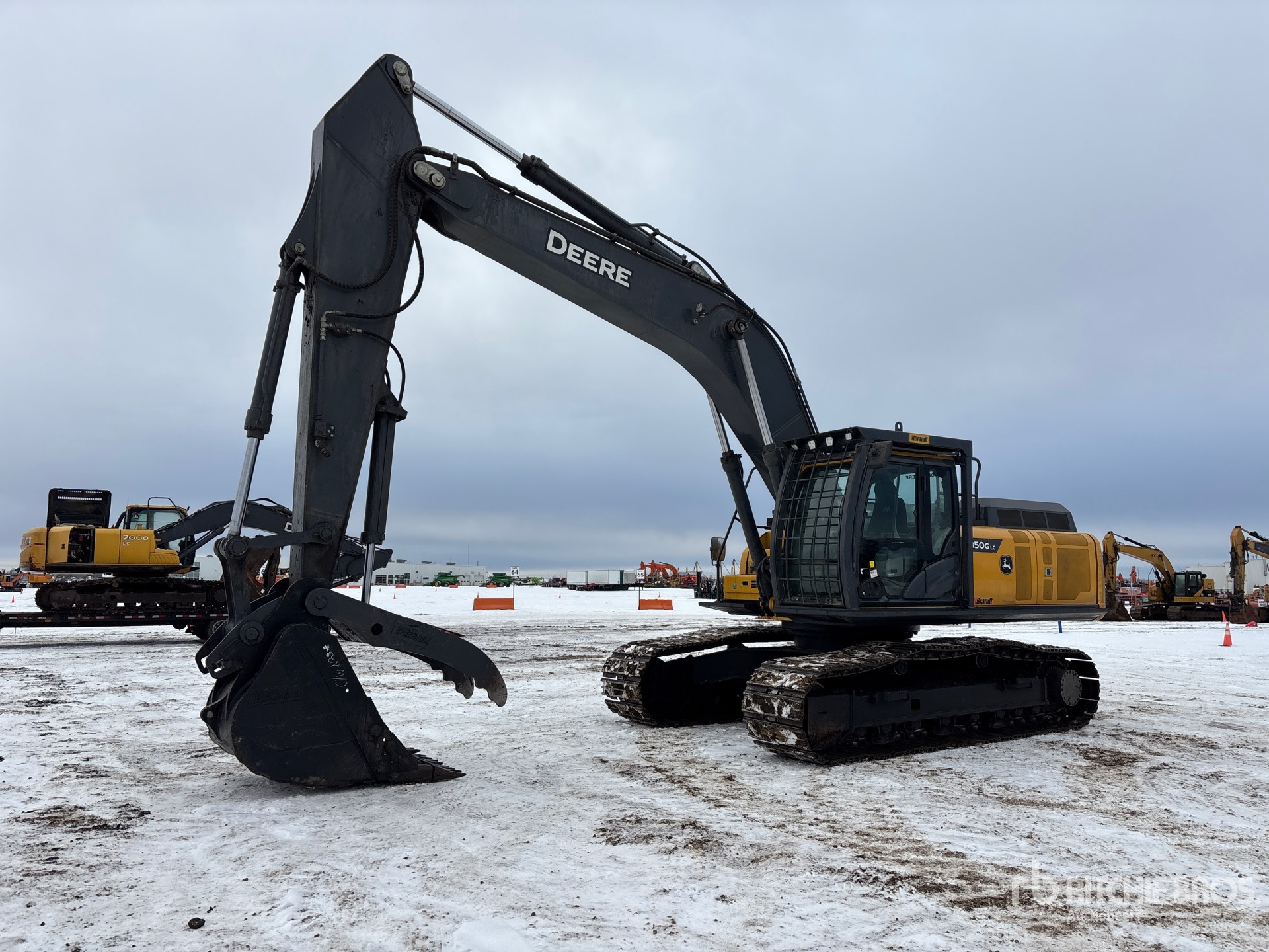 General Appearance with Spin