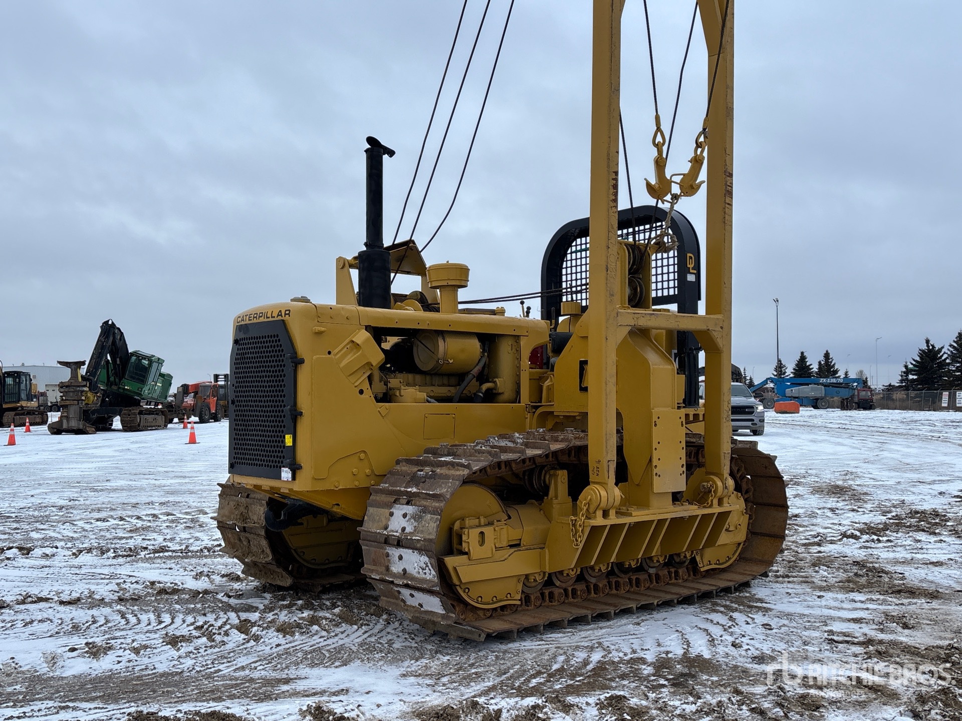 General Appearance with Spin