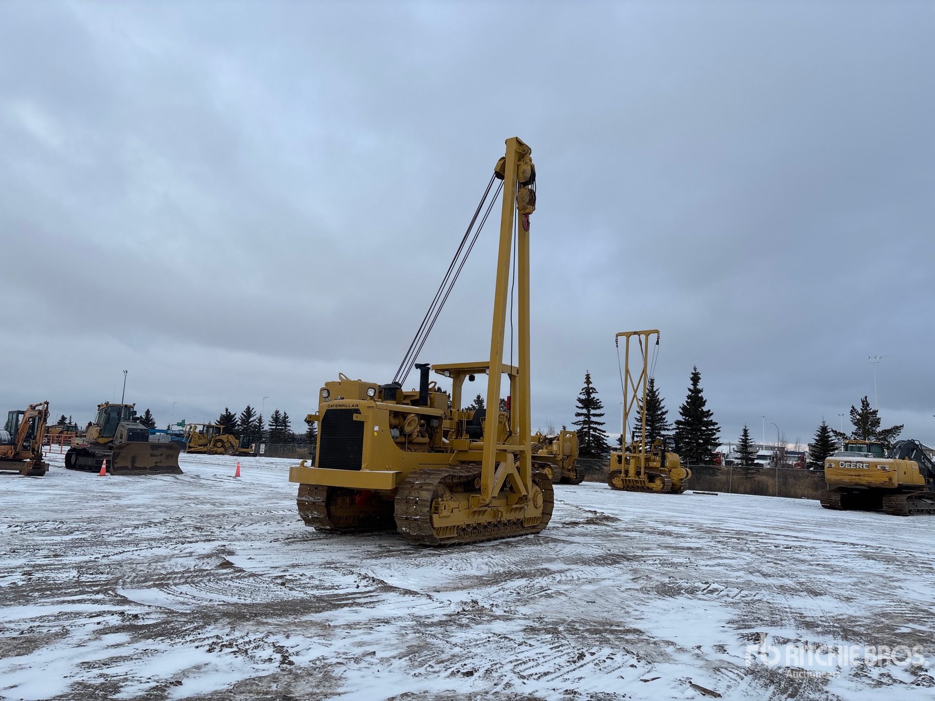 General Appearance with Spin