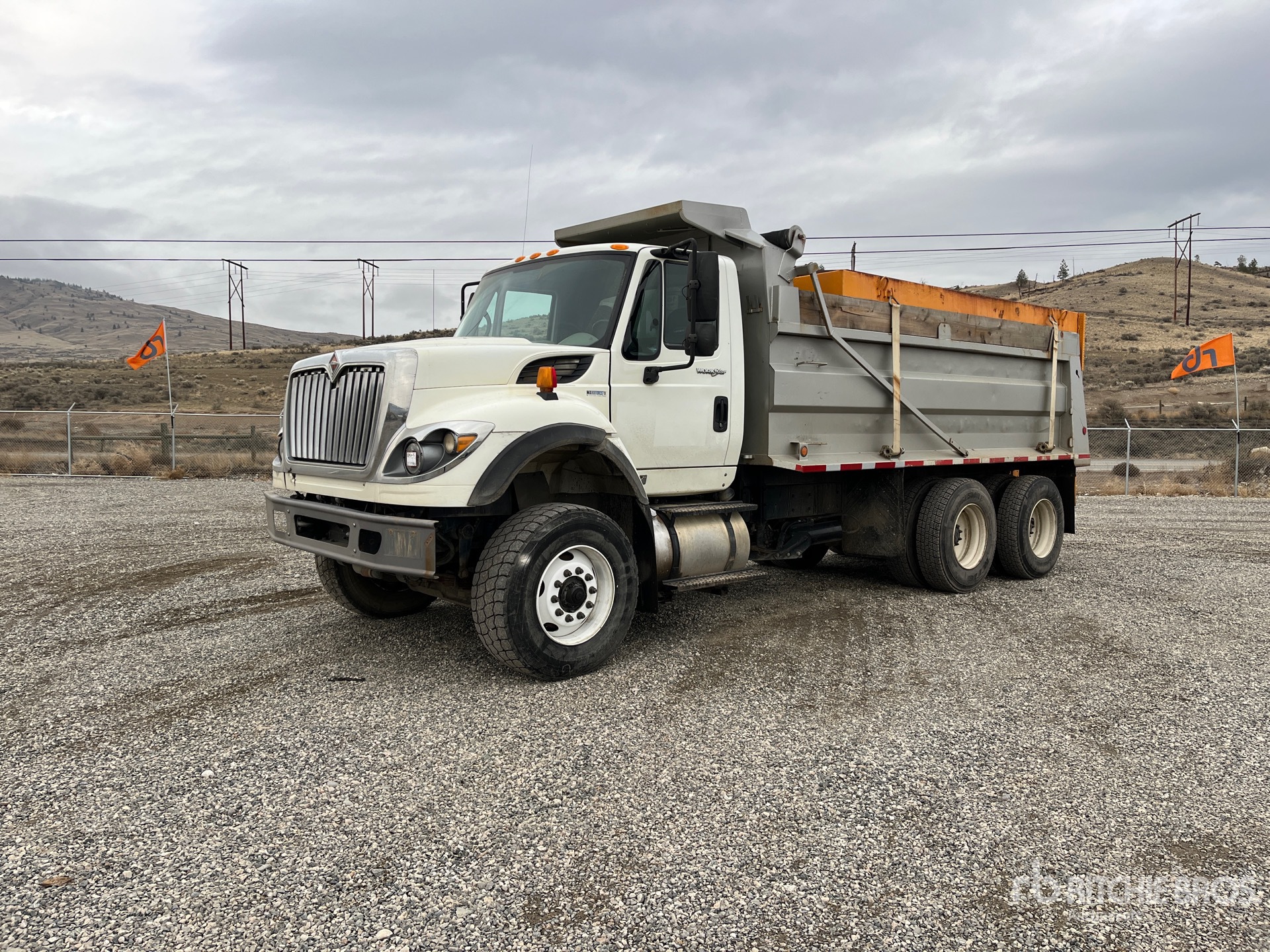 General Appearance with Spin