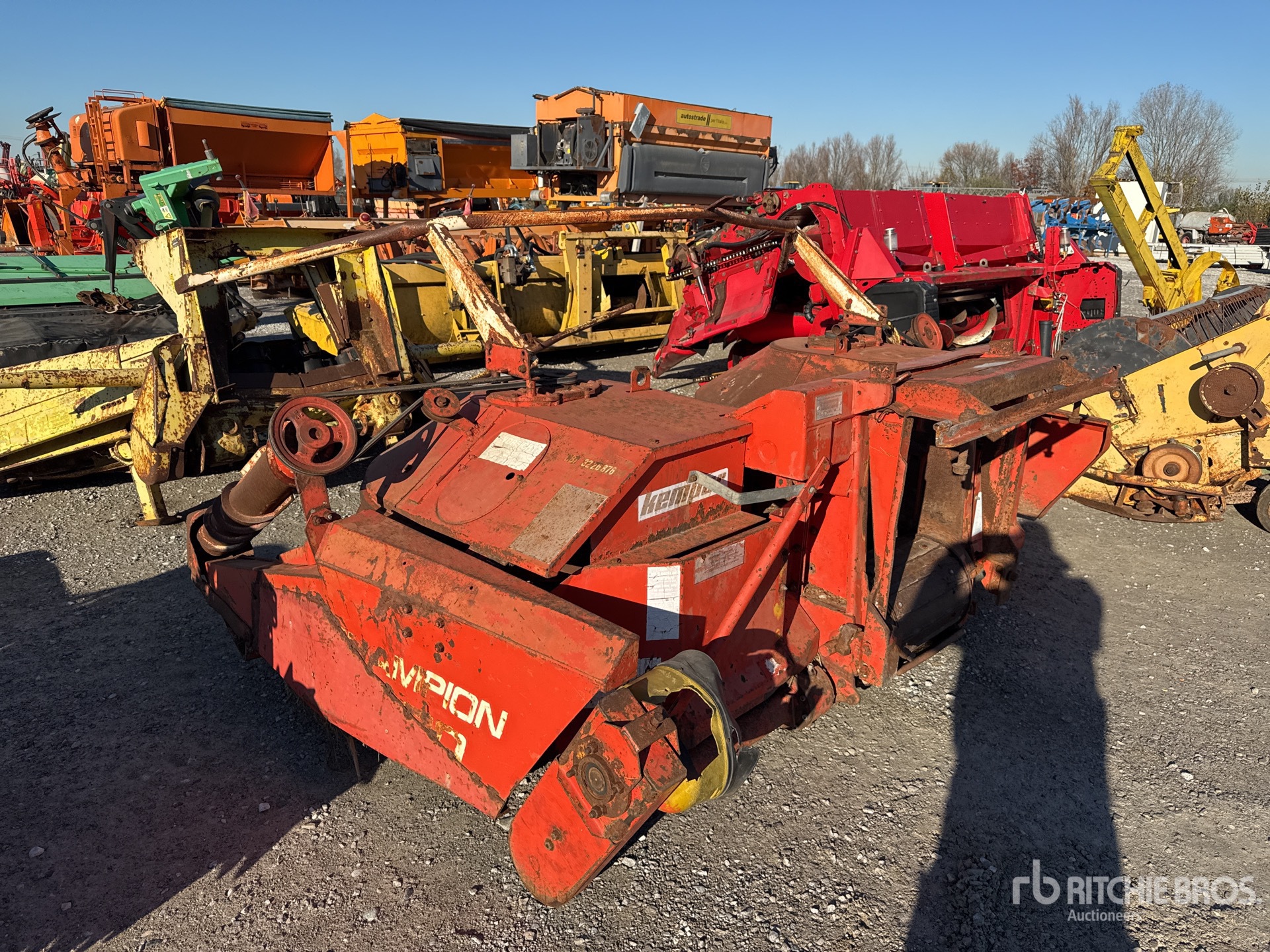 General Appearance with 