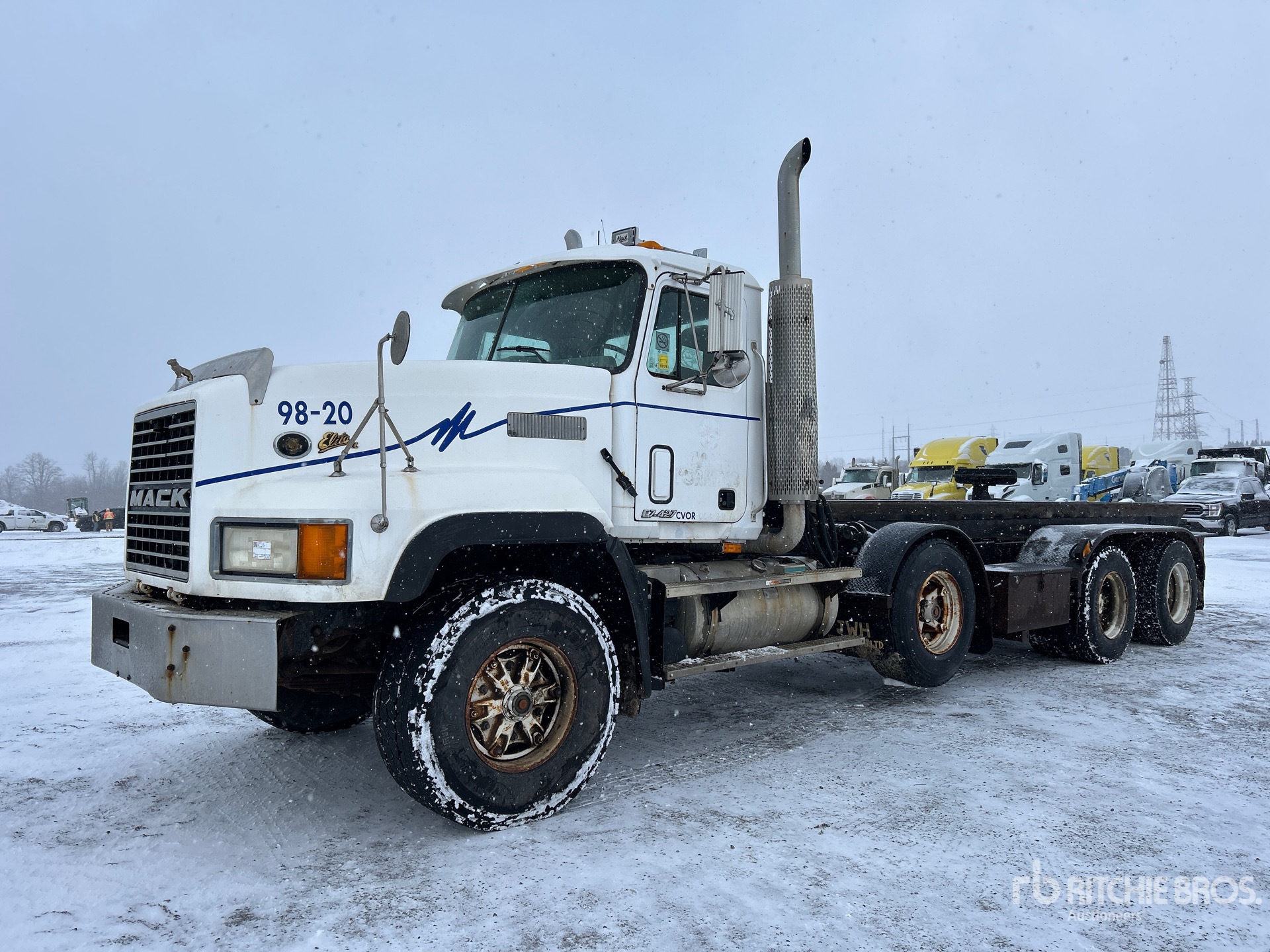 General Appearance with Spin