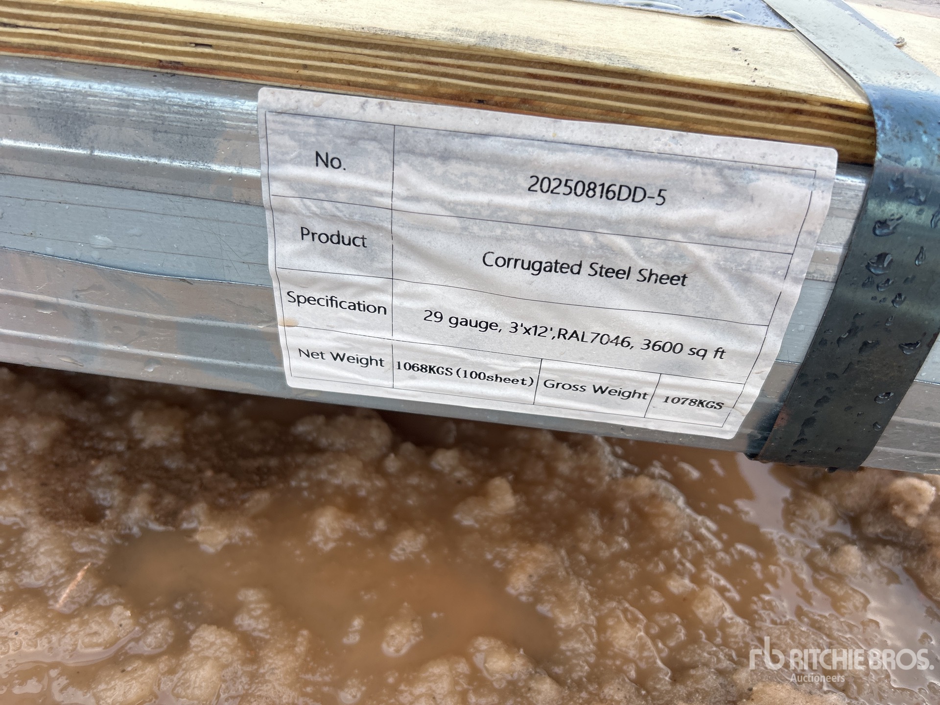 General Appearance with 