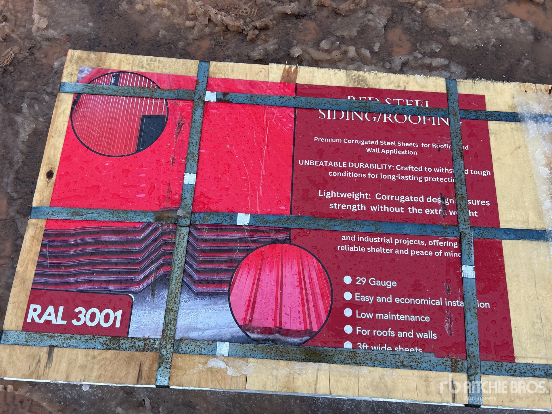 General Appearance with 