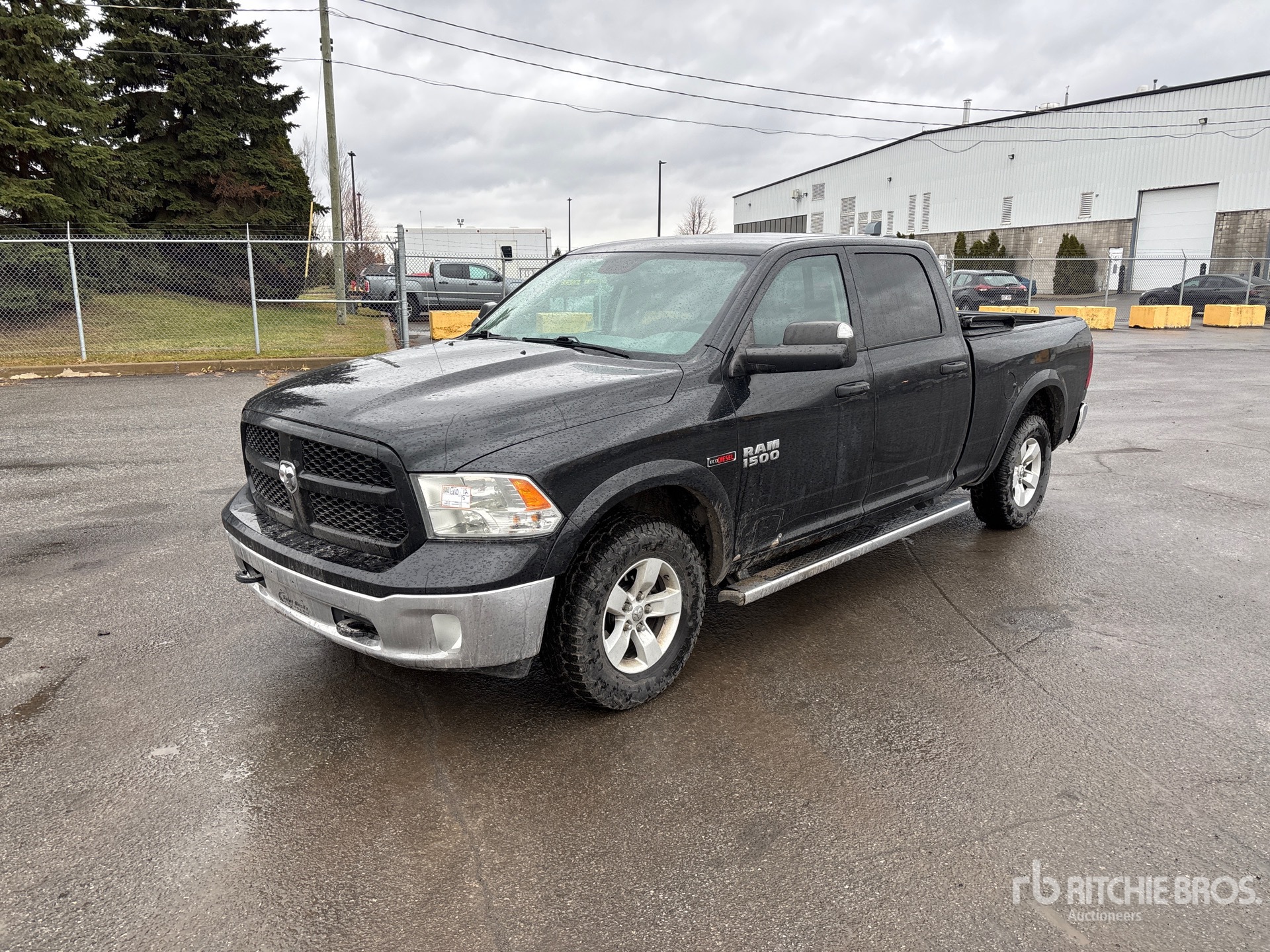 General Appearance with Spin