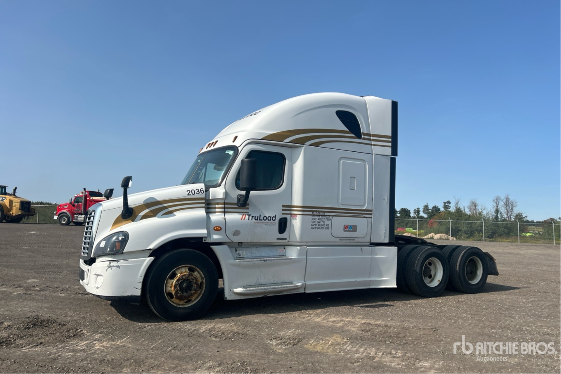 General Appearance with Spin