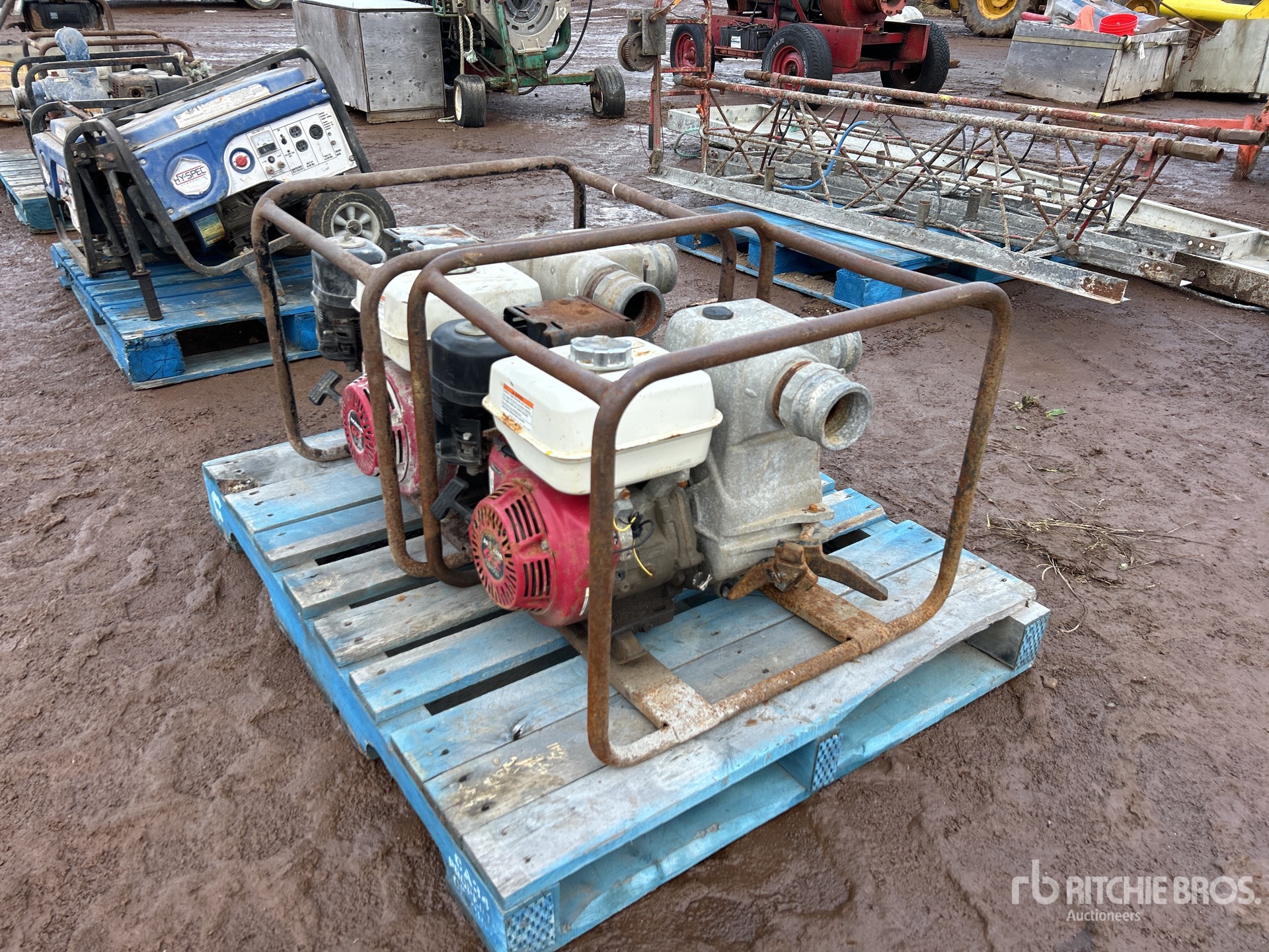 General Appearance with