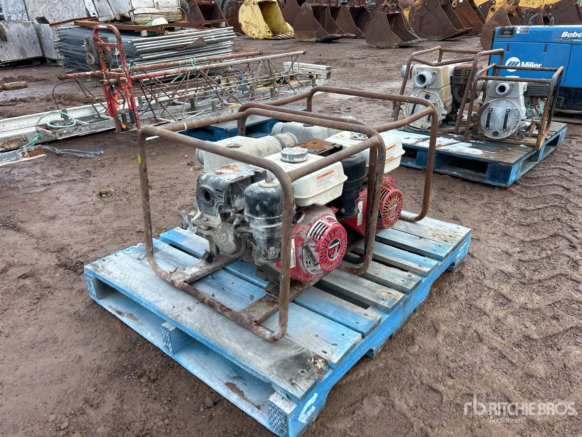 General Appearance with