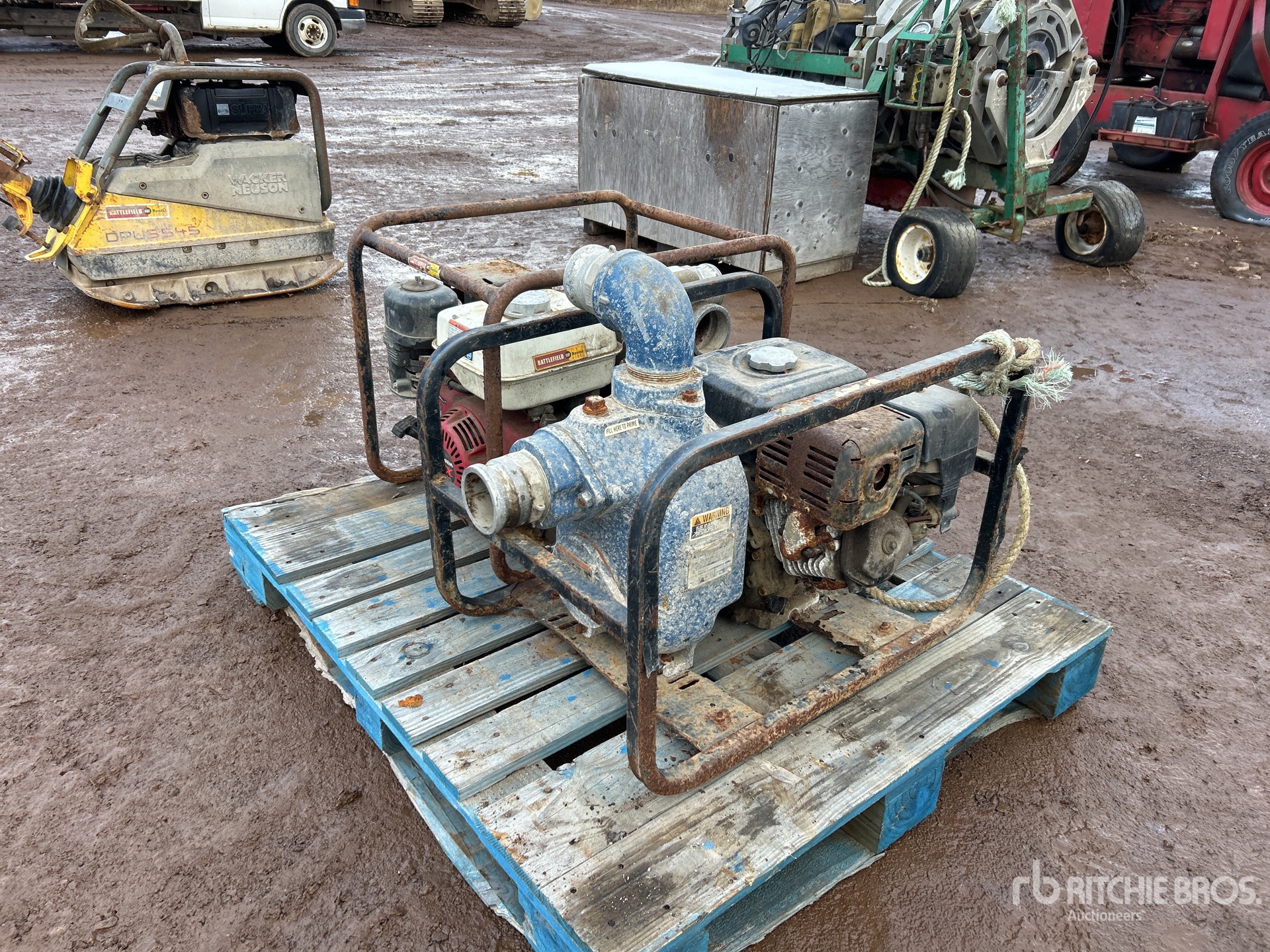 General Appearance with