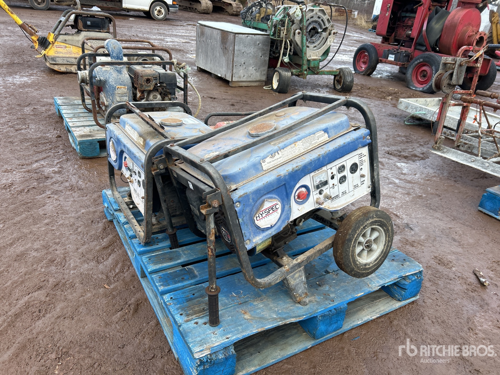 General Appearance with