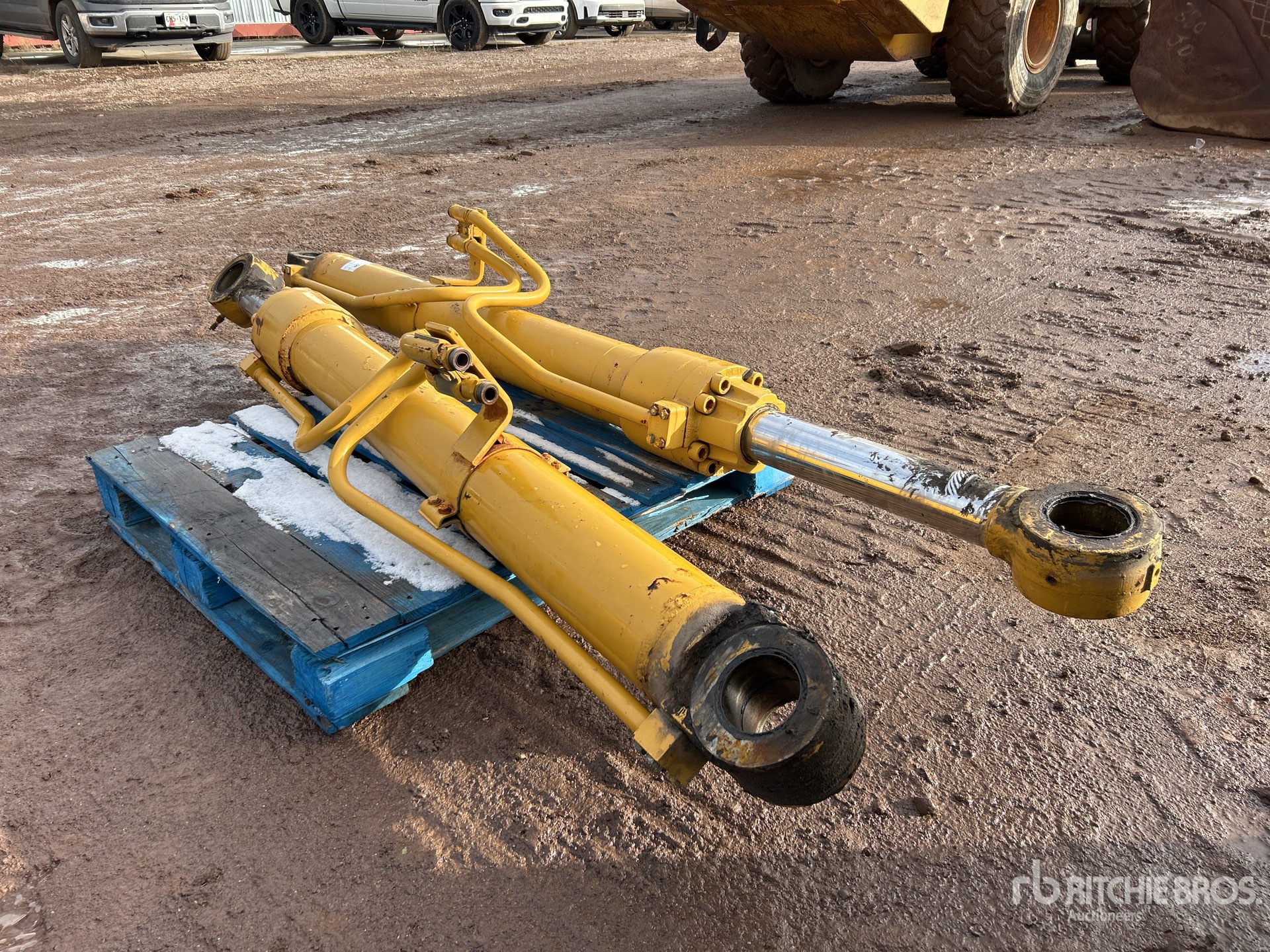 General Appearance with 