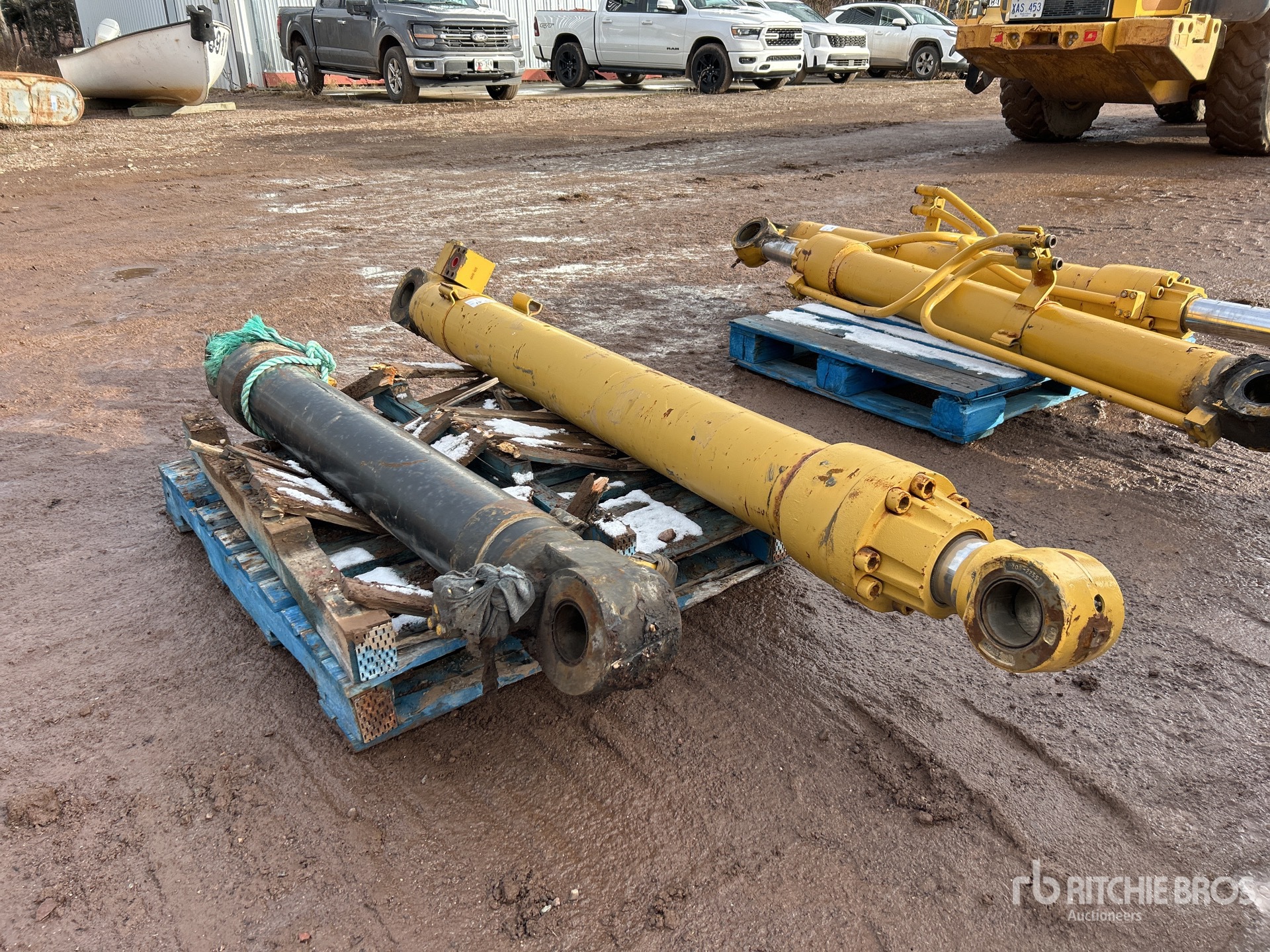 General Appearance with 