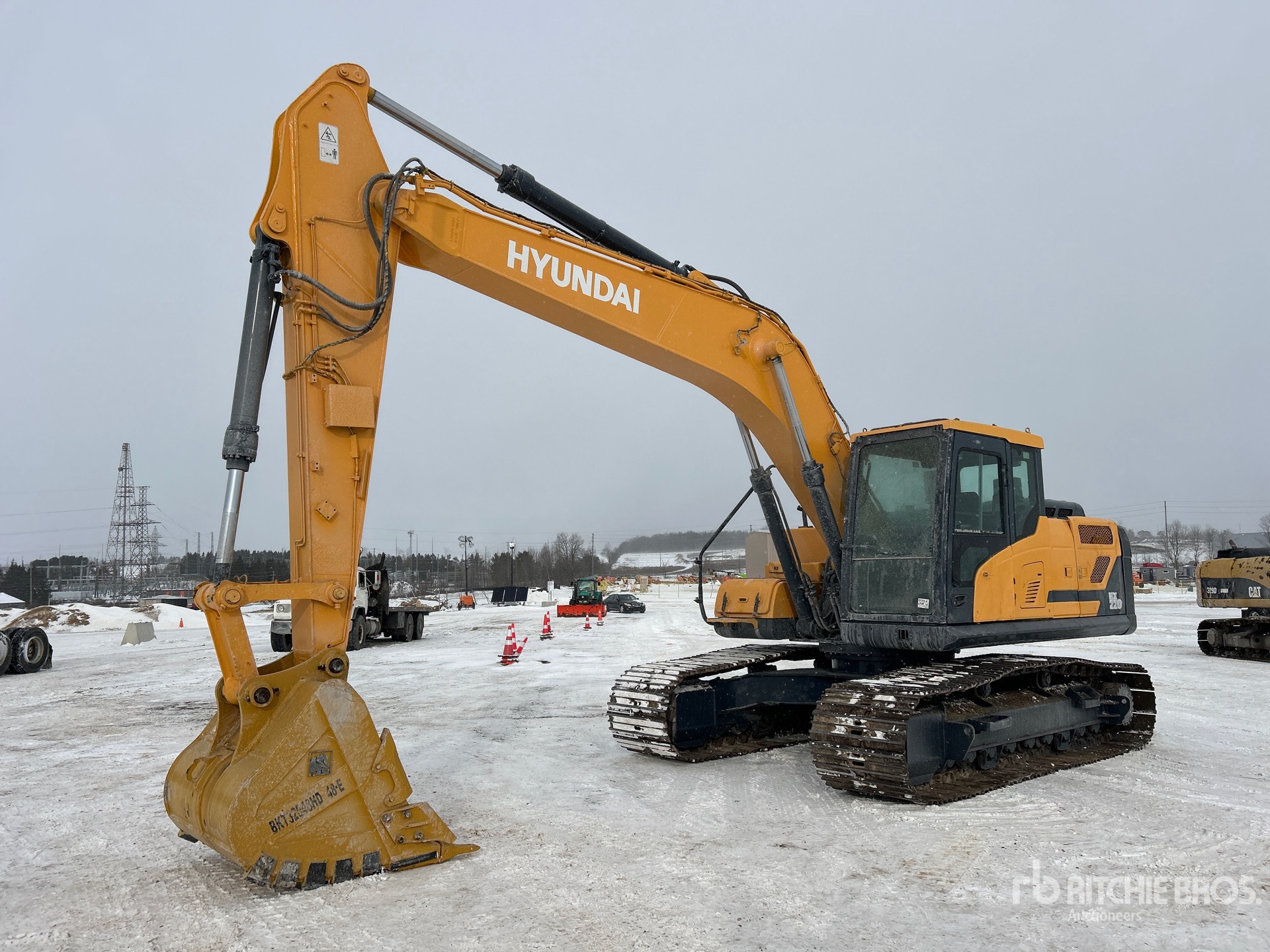 General Appearance with Spin