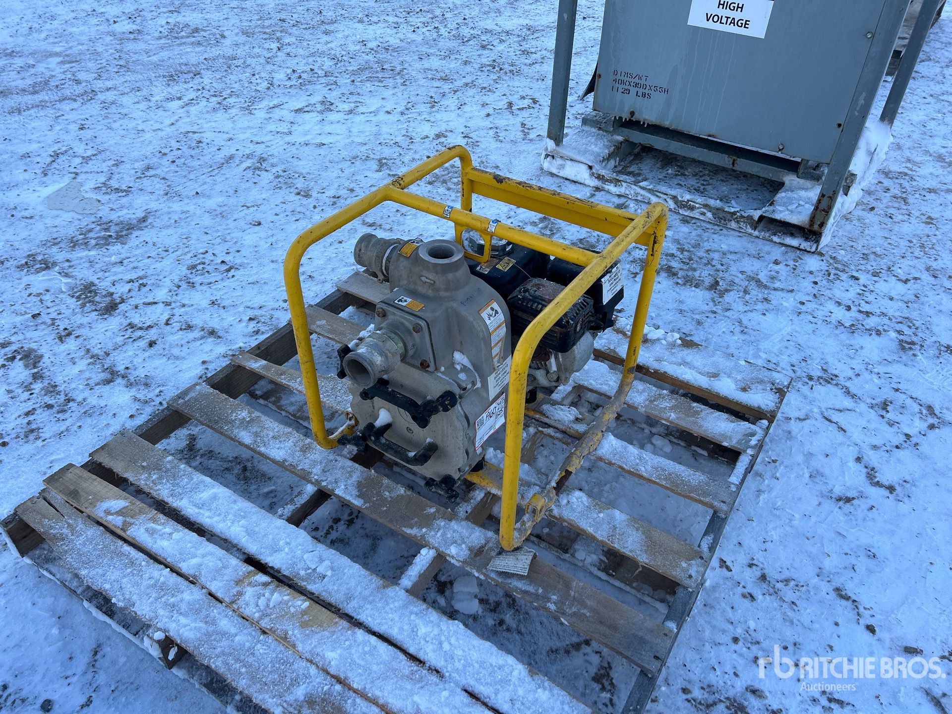 General Appearance with Bild, Ecke vorne links