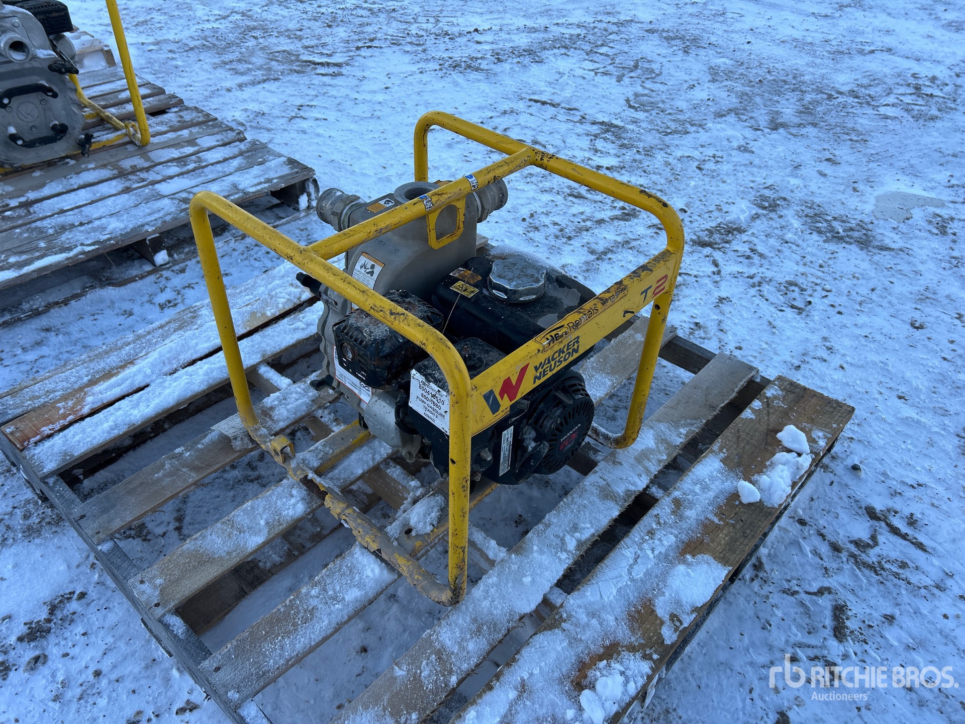 General Appearance with Bild, Ecke hinten links