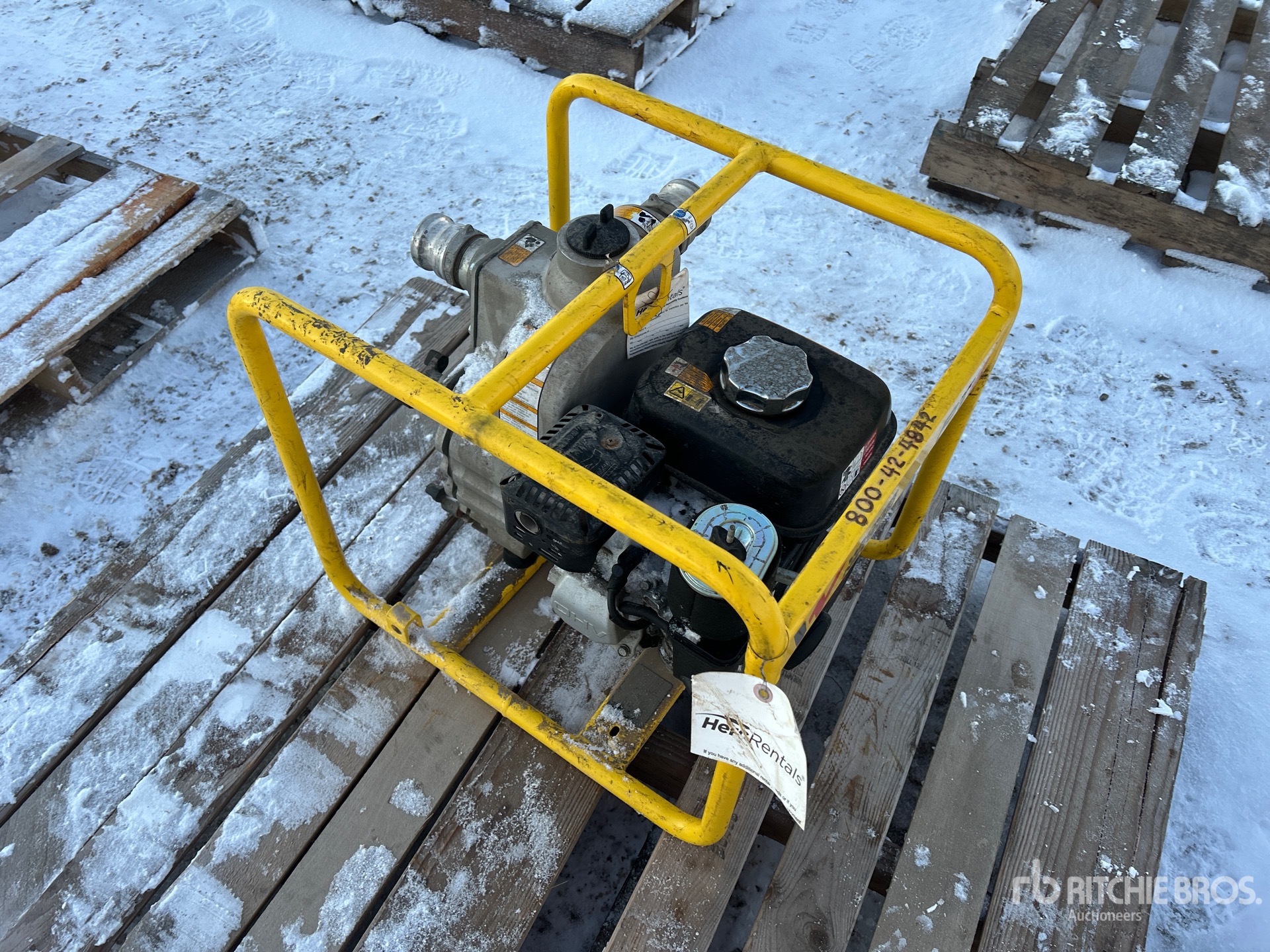 General Appearance with Bild, Ecke hinten links