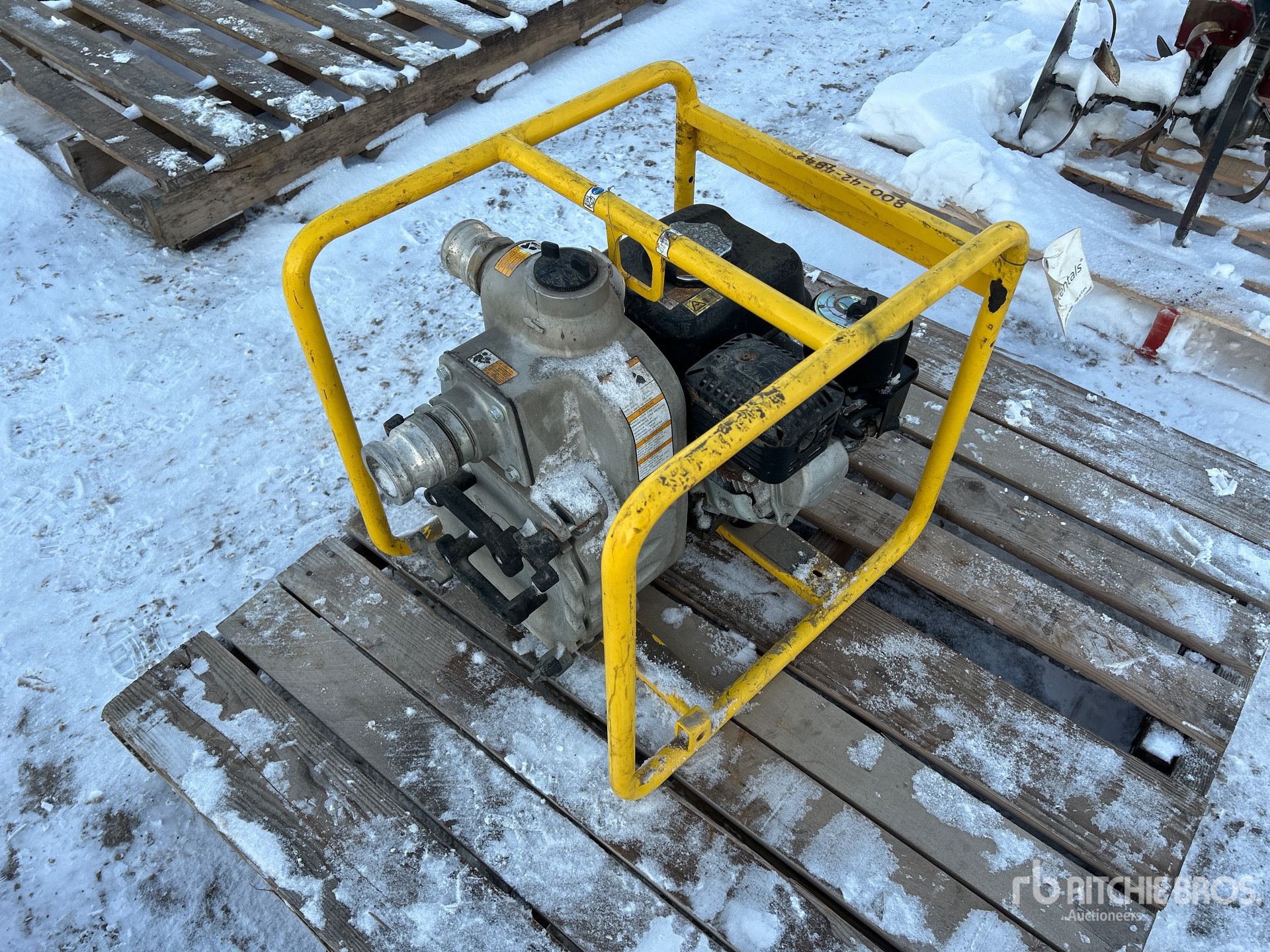 General Appearance with Bild, Ecke vorne links