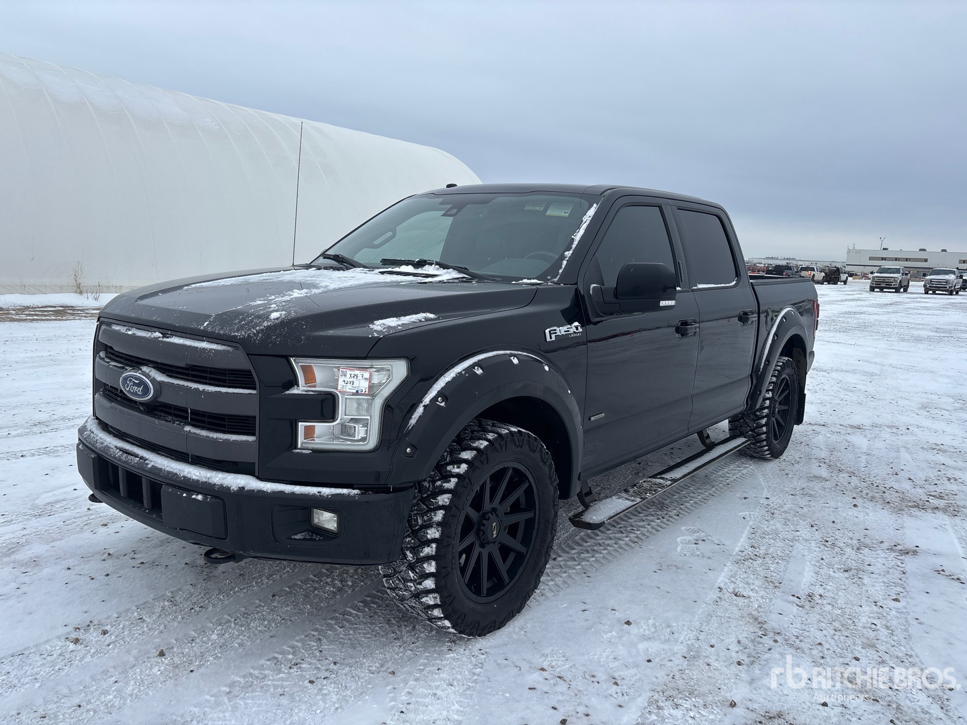 General Appearance with Spin