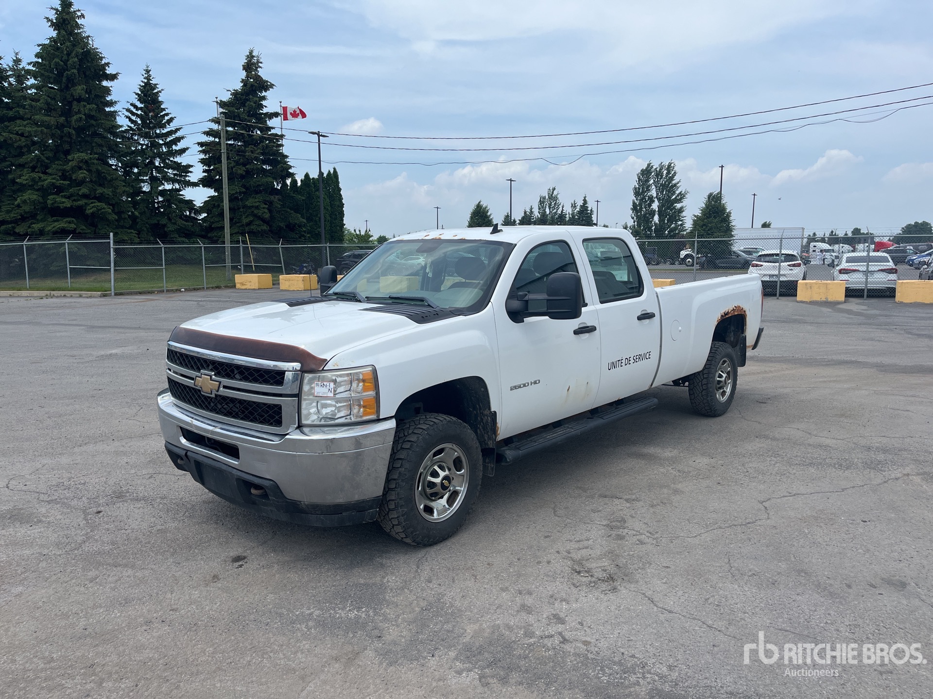 General Appearance with Spin