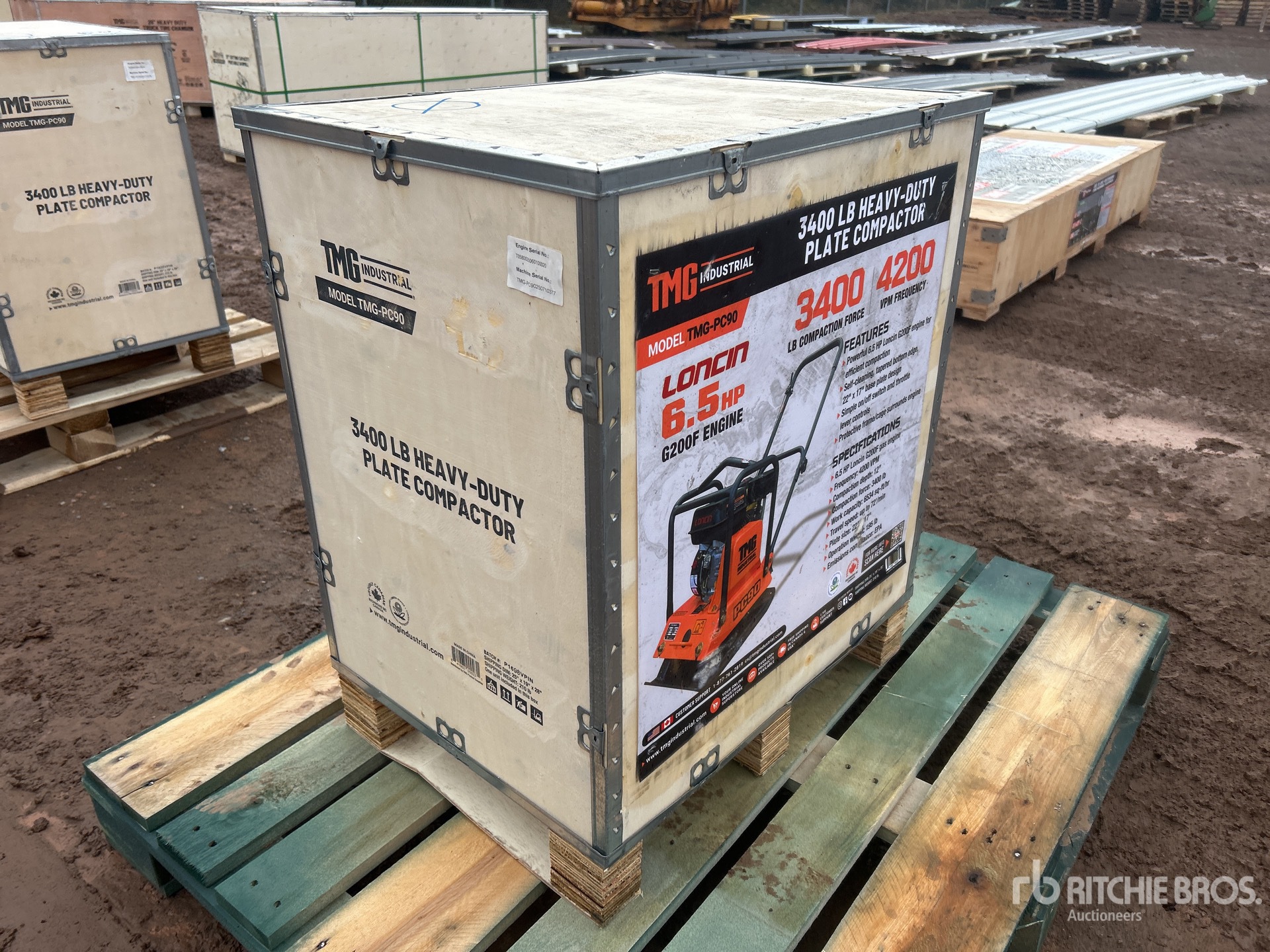 General Appearance with Picture, Left Rear Corner