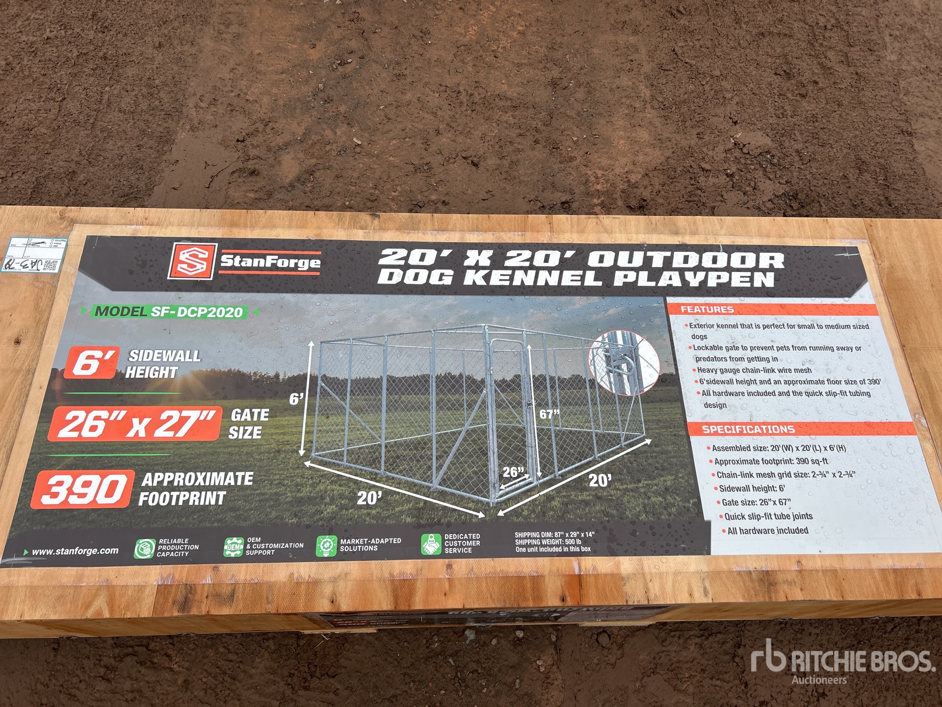 General Appearance with 