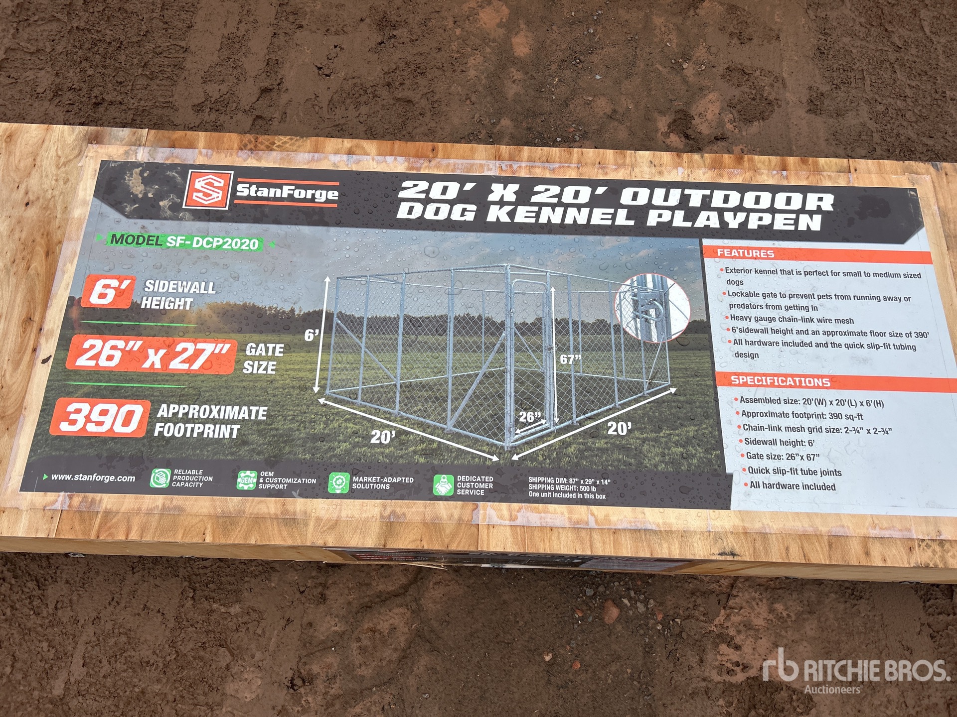 General Appearance with 