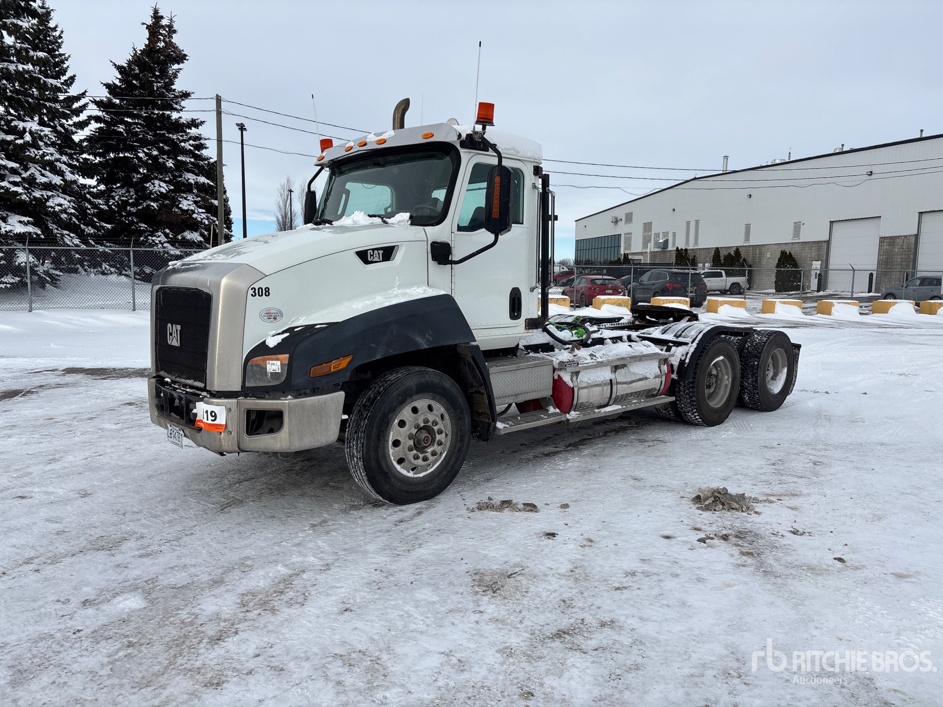 General Appearance with Spin