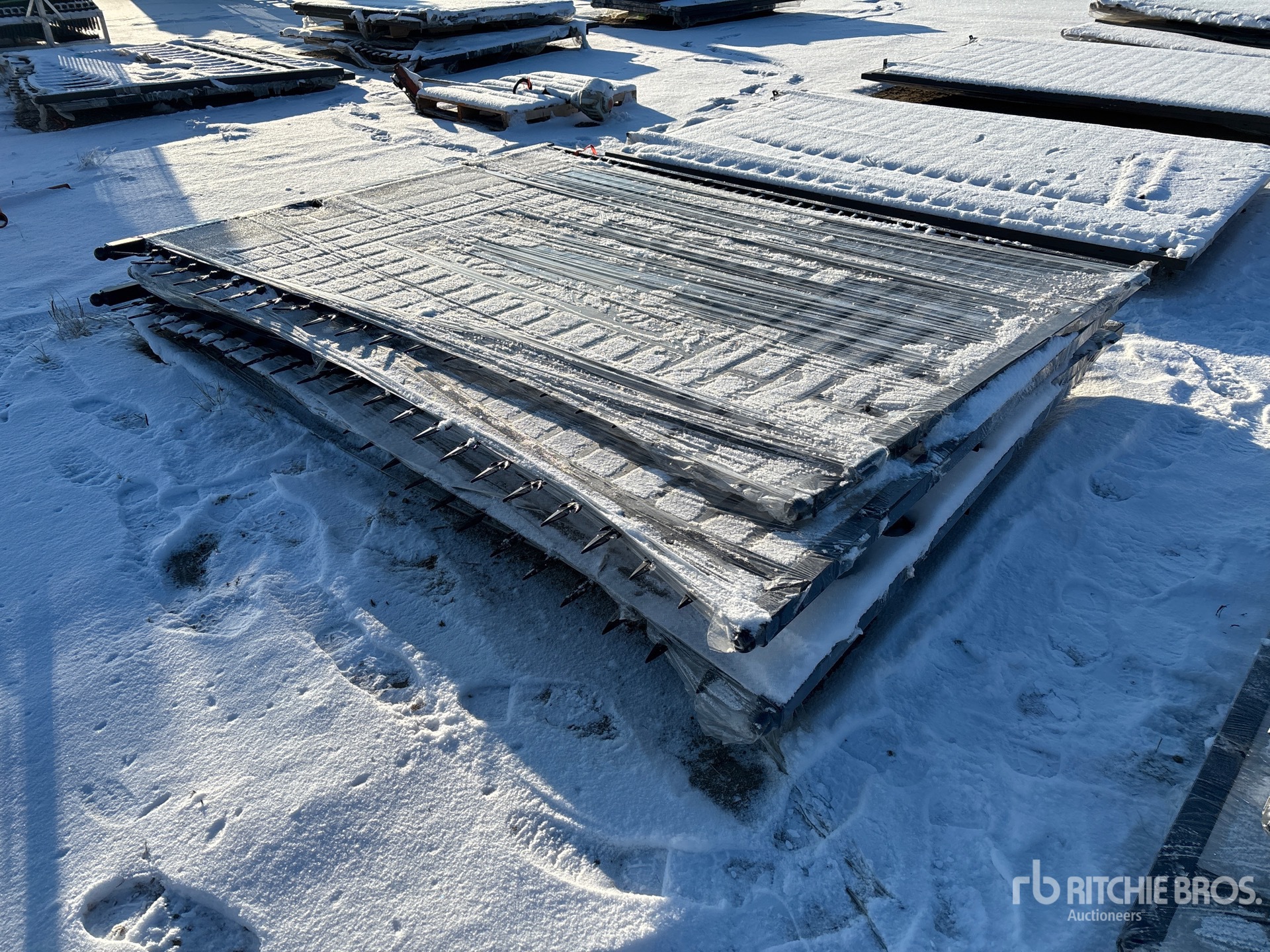 General Appearance with Foto, angolo anteriore sinistro