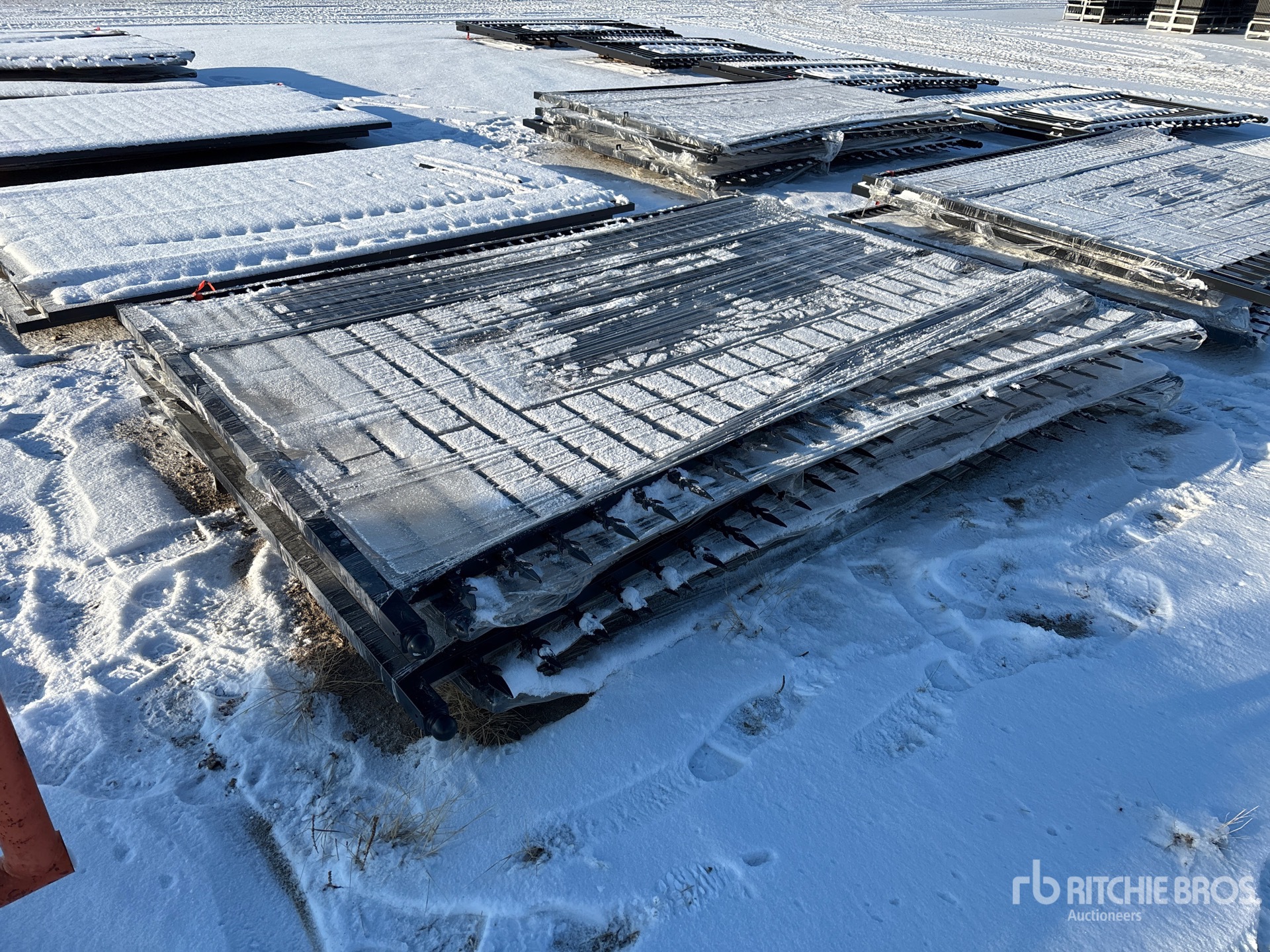 General Appearance with Foto, angolo posteriore sinistro