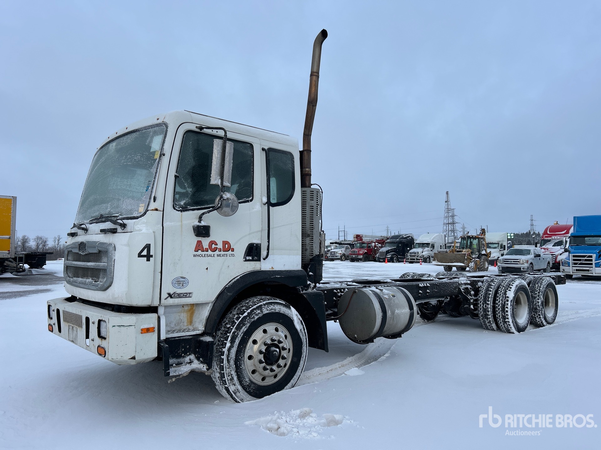 General Appearance with Spin