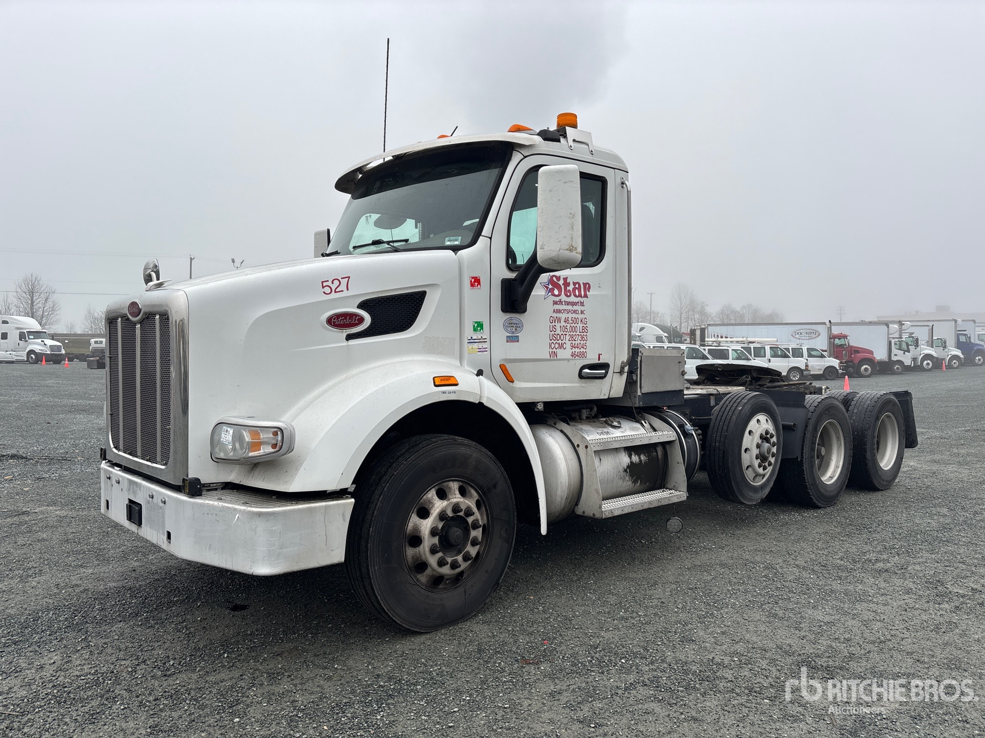 General Appearance with Spin