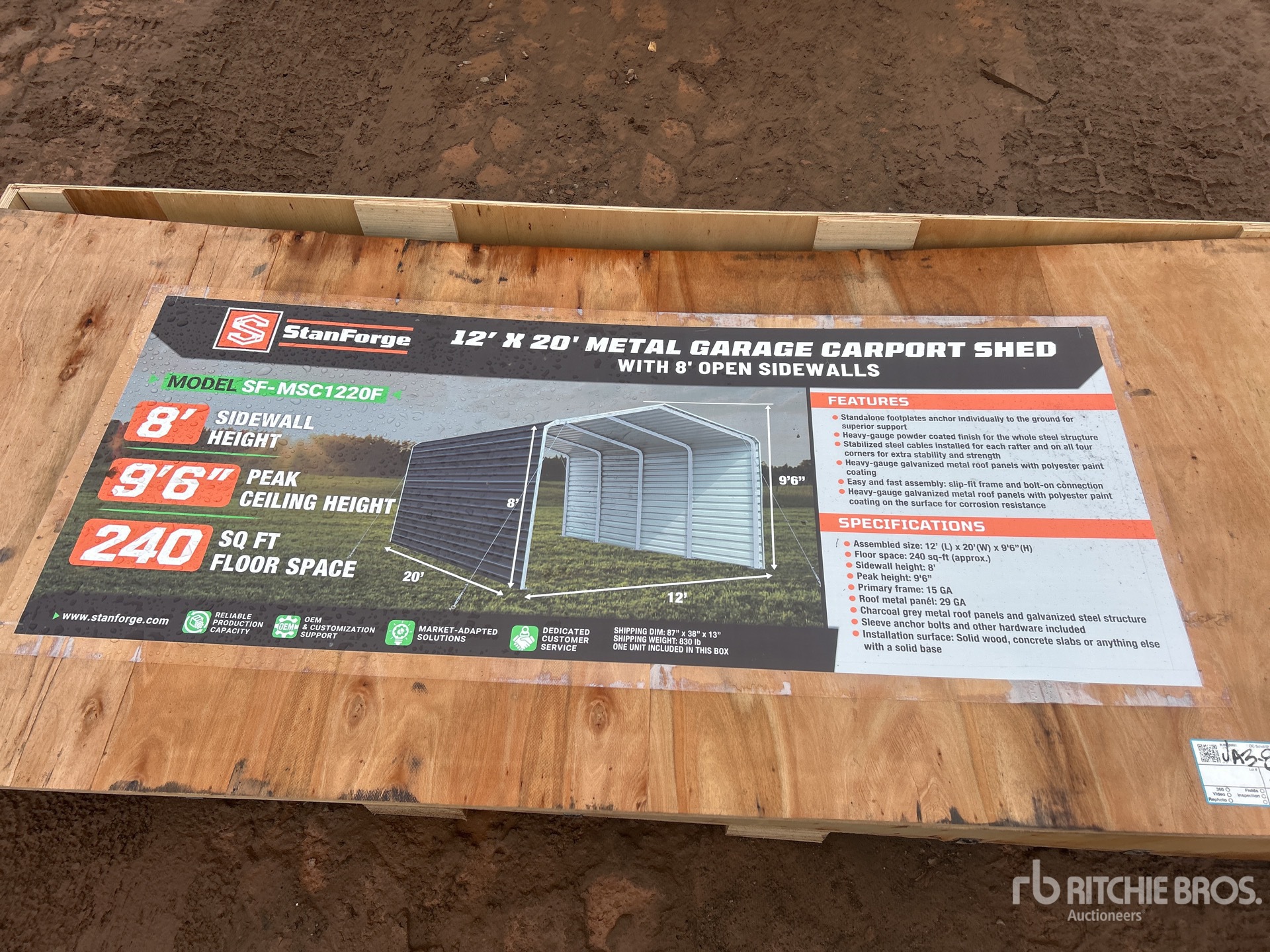 General Appearance with 