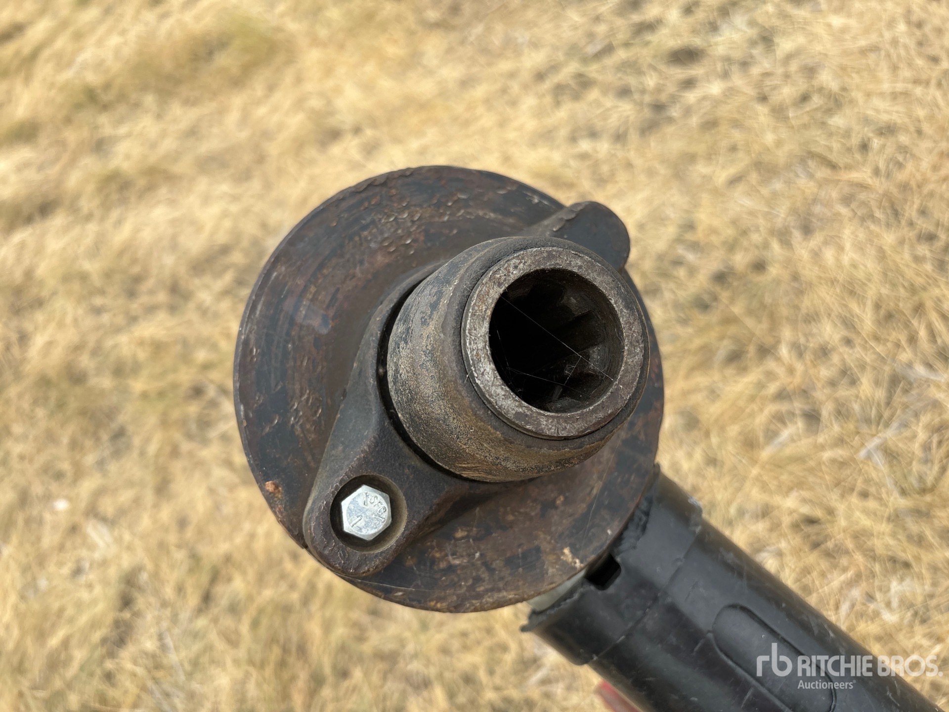 Wheatheart SA 13-71