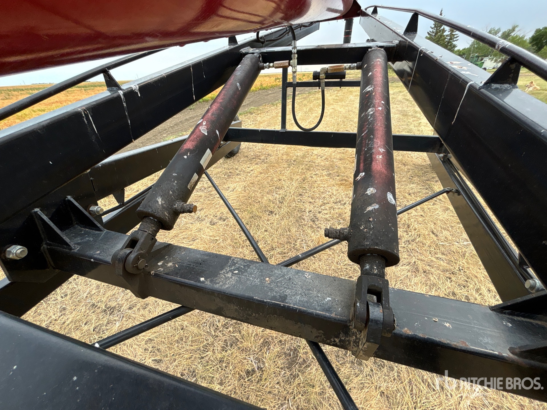 Wheatheart SA 13-71