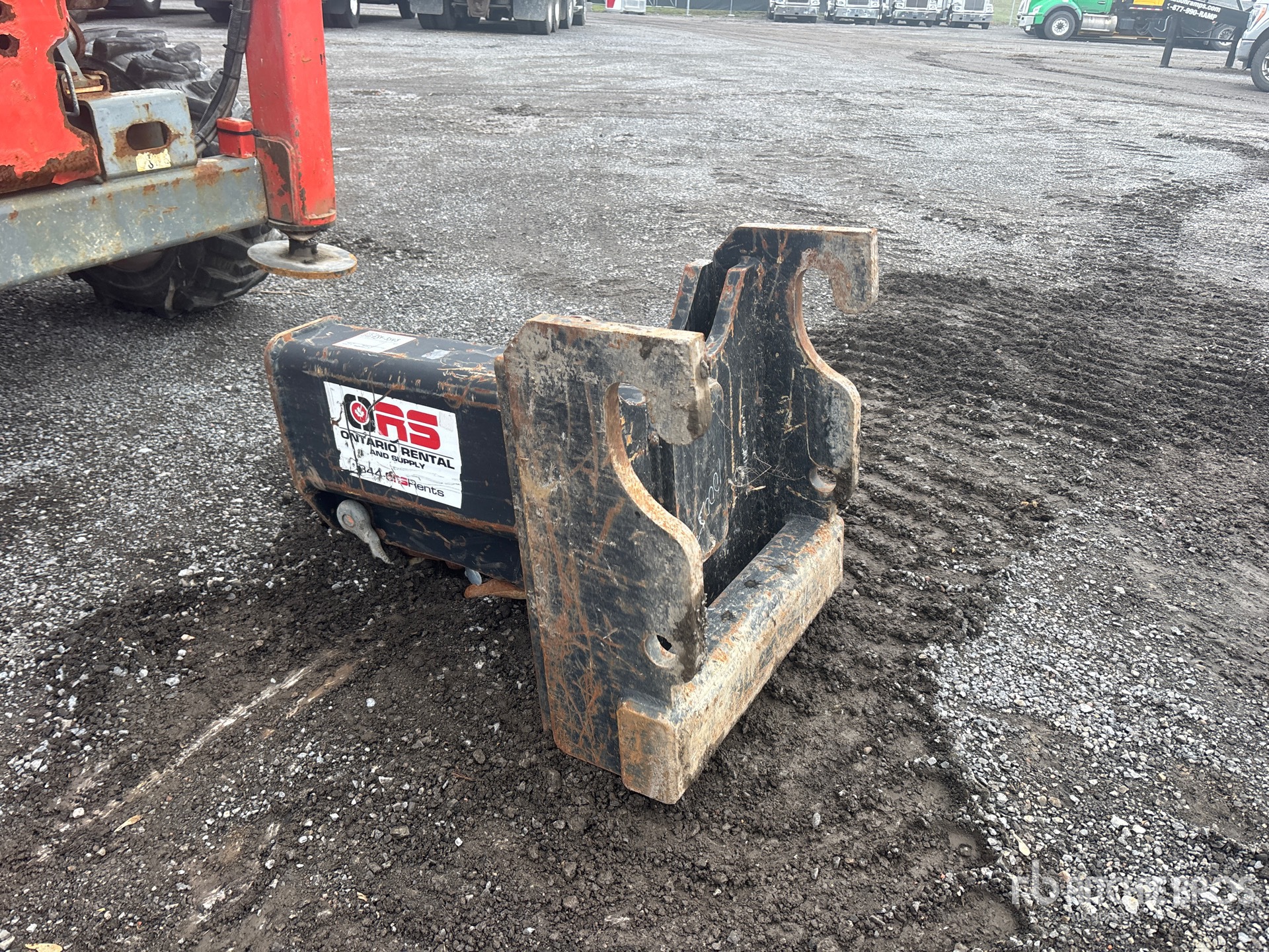 General Appearance with Zdjęcie, lewy dolny róg