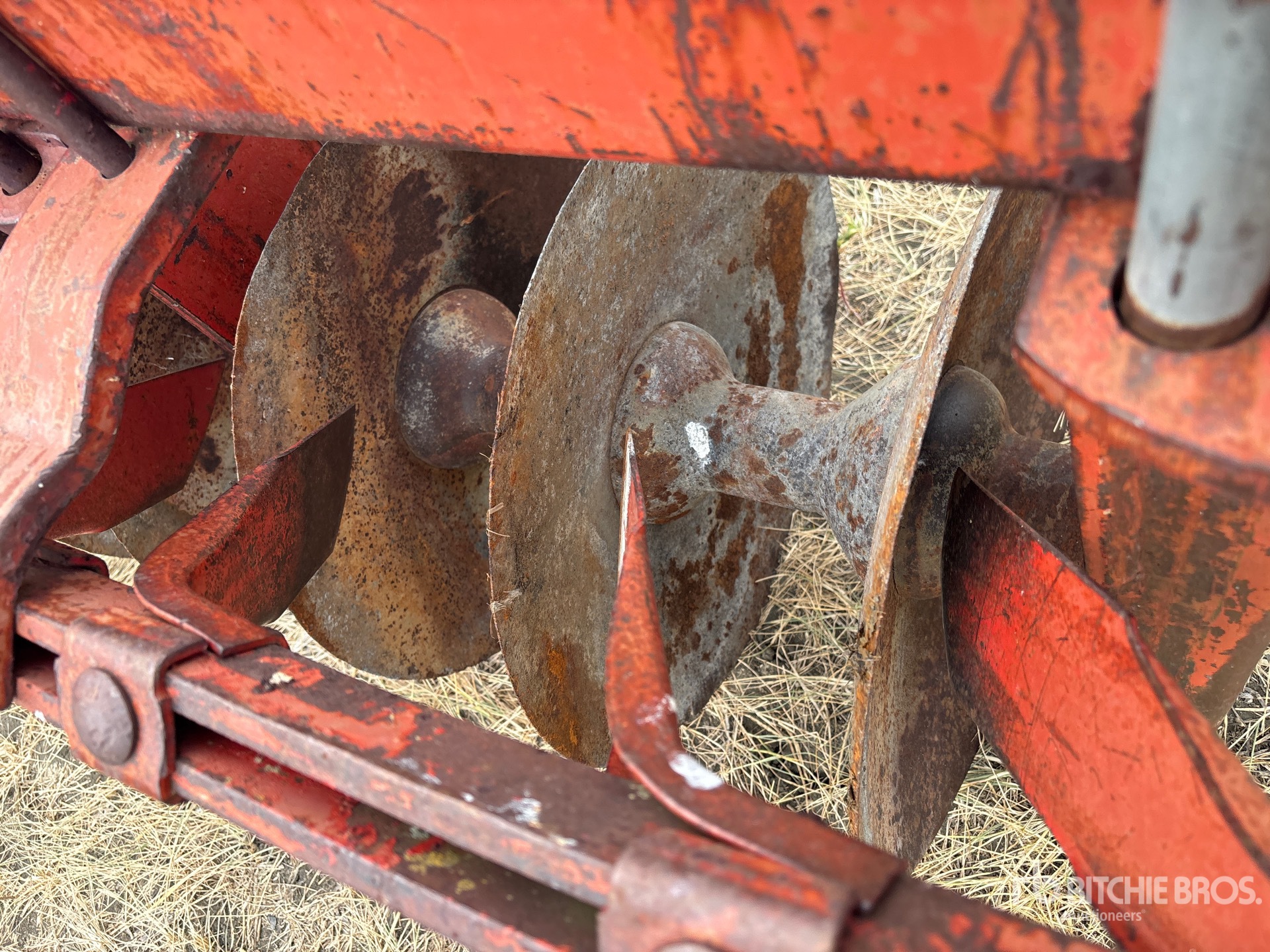 Krause 1292