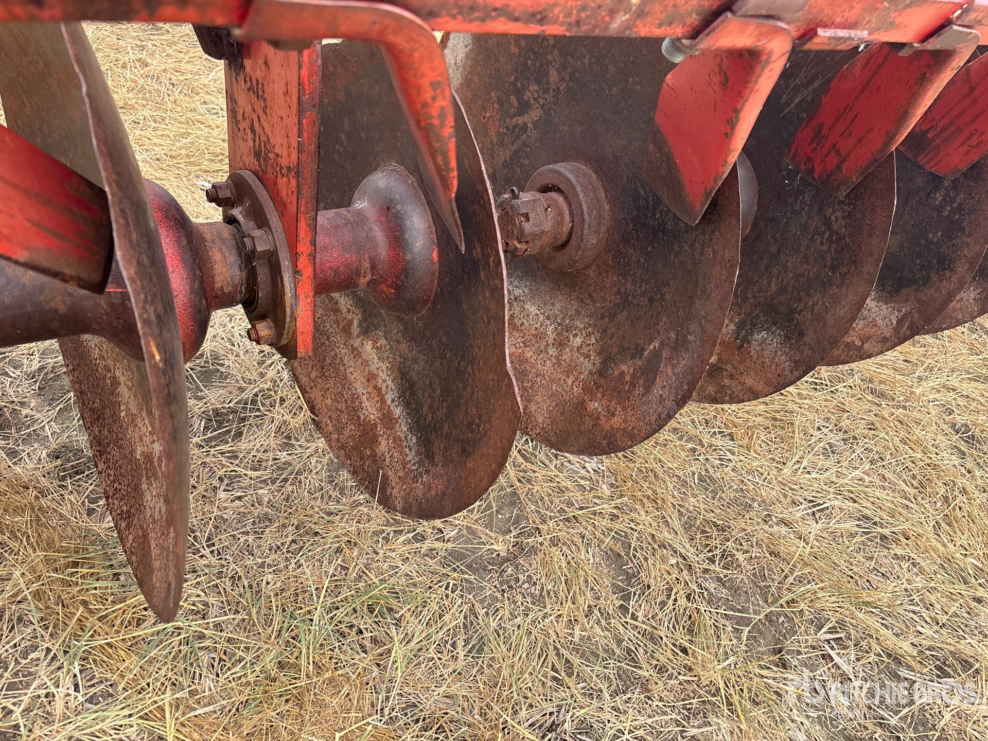 Krause 1292