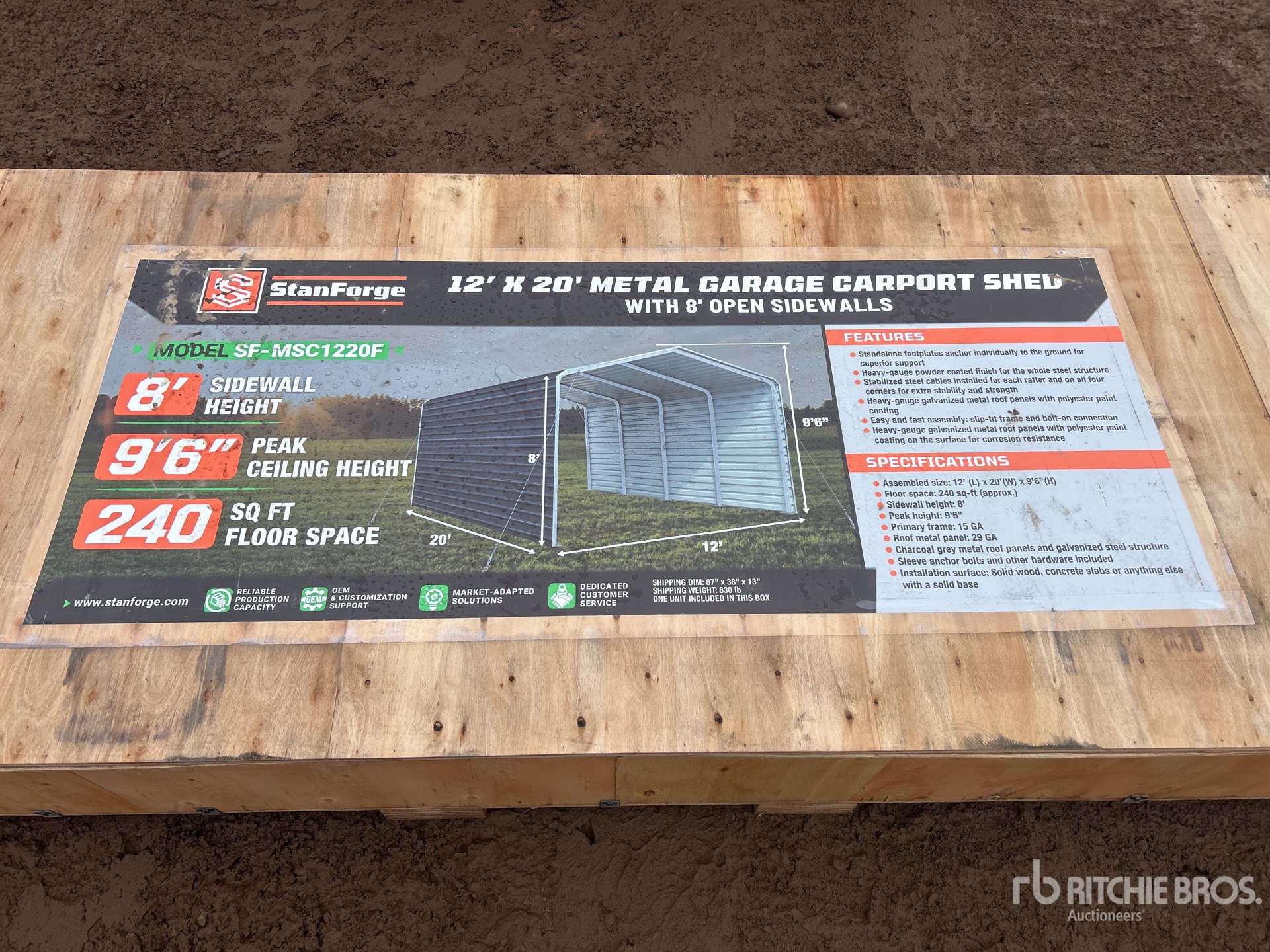 General Appearance with 