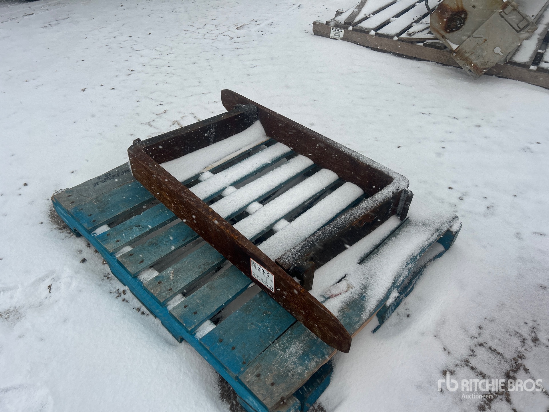 General Appearance with Zdjęcie, prawy dolny róg