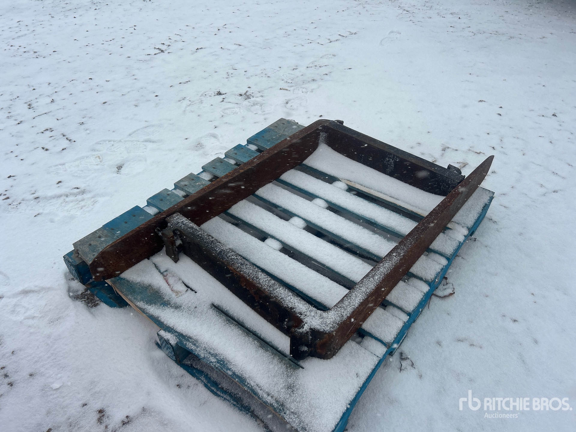 General Appearance with Zdjęcie, lewy górny róg