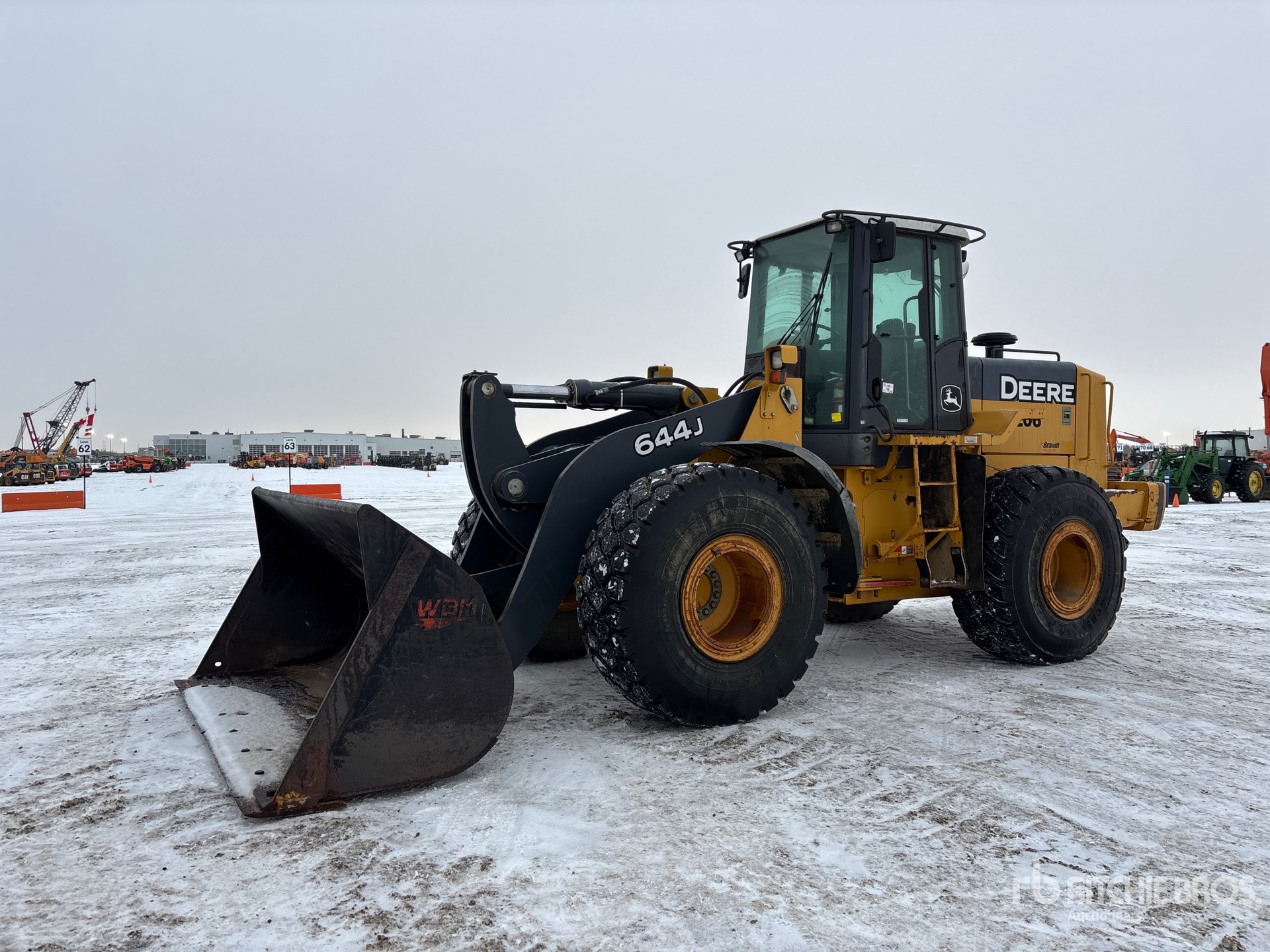 General Appearance with Spin