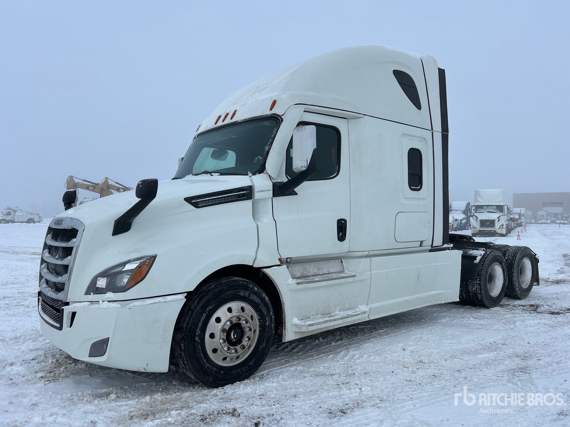 General Appearance with Spin