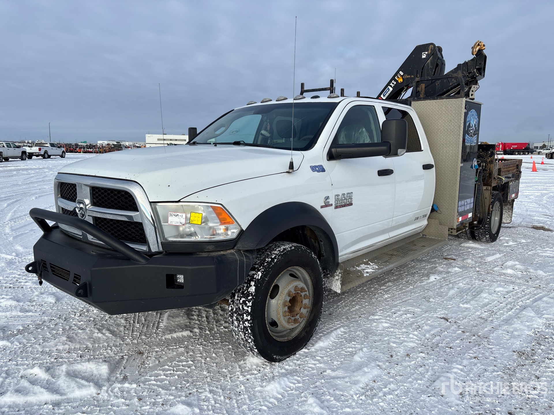 General Appearance with Spin