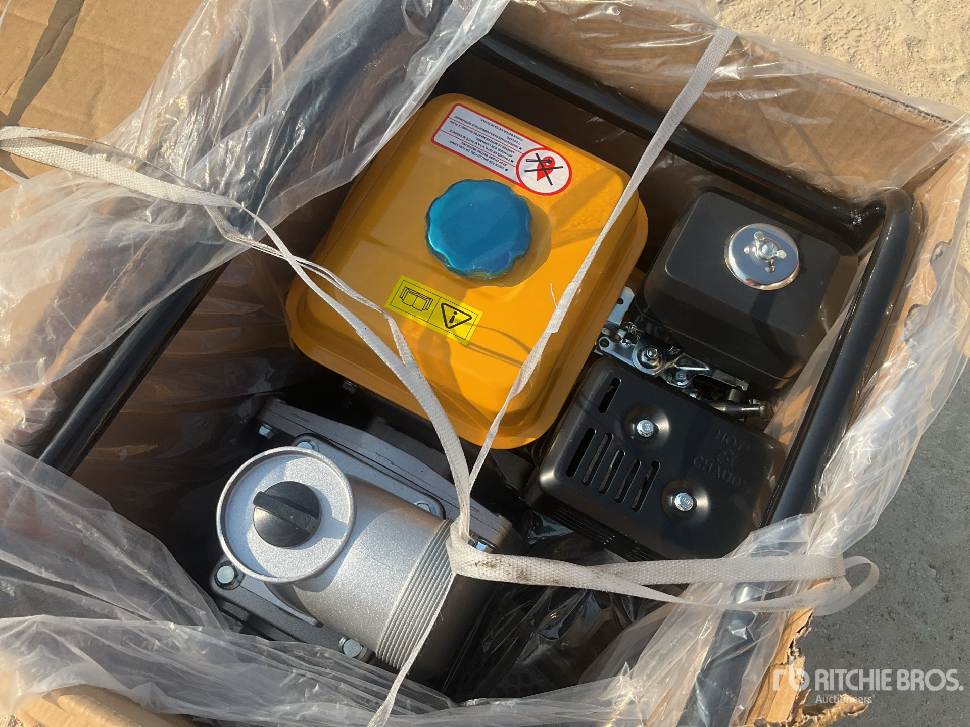 General Appearance with 